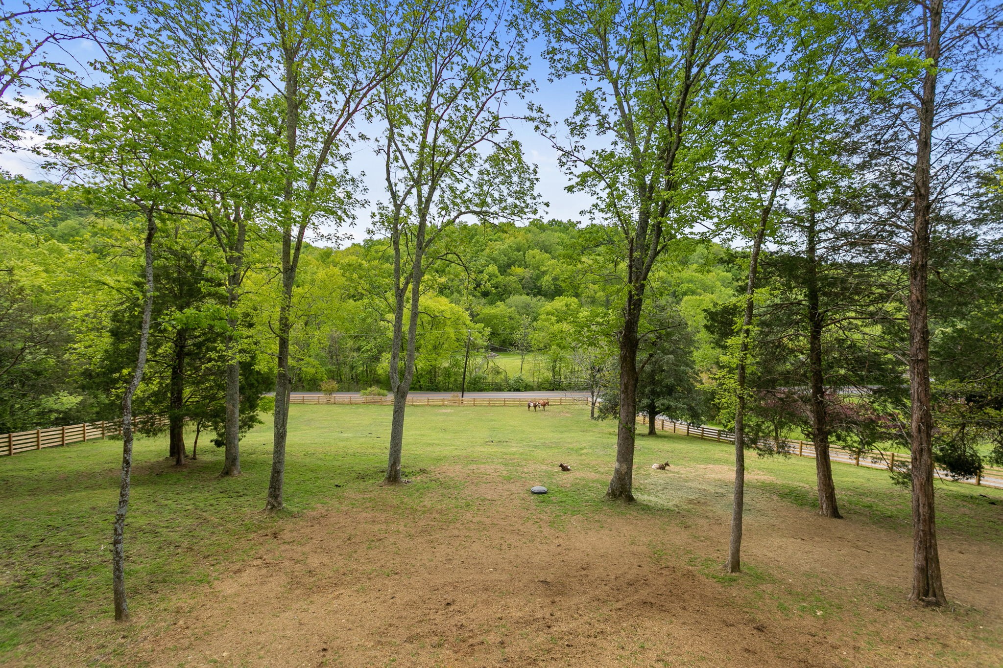 3347 Freeman Hollow Rd