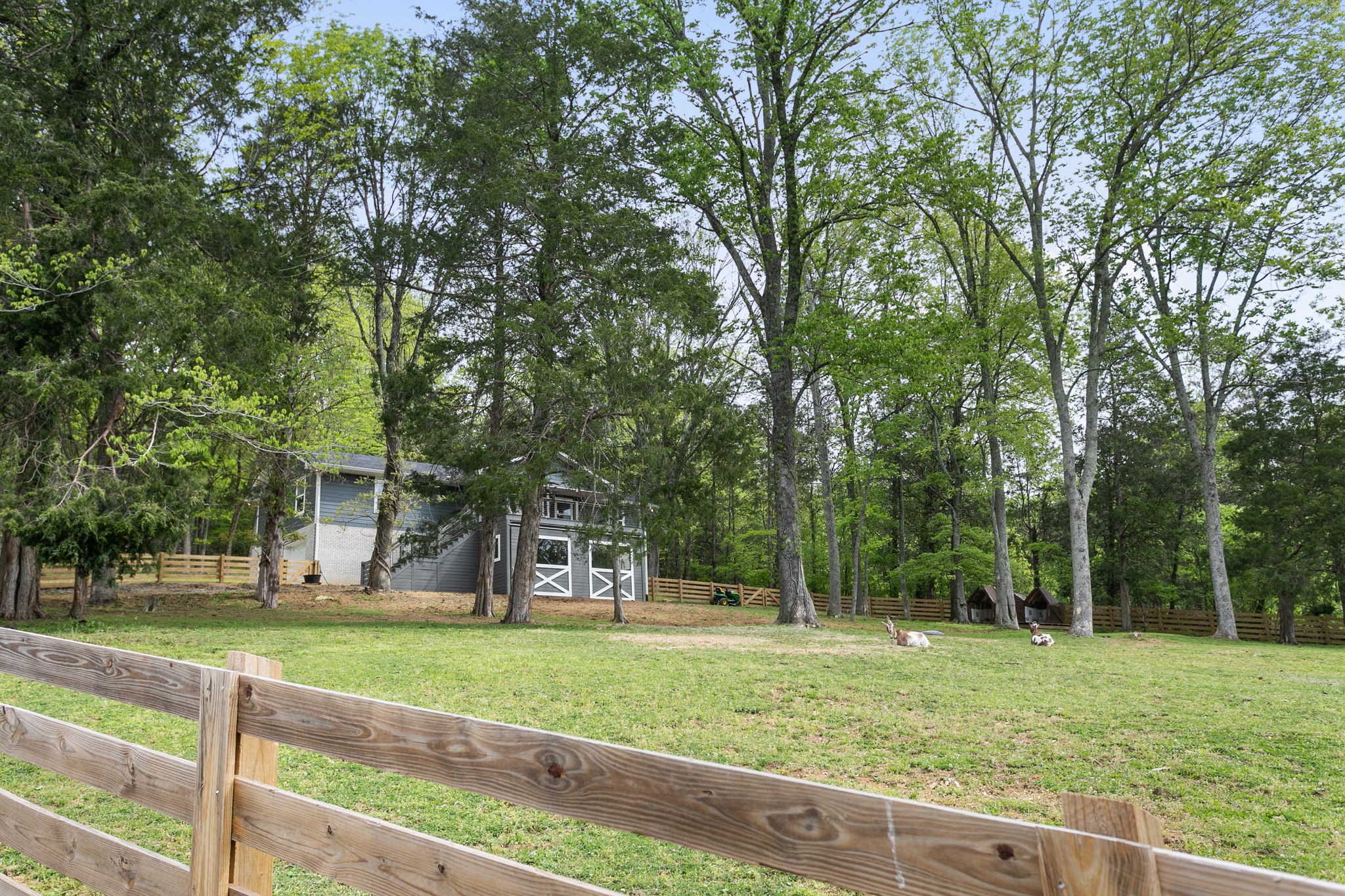 3347 Freeman Hollow Rd