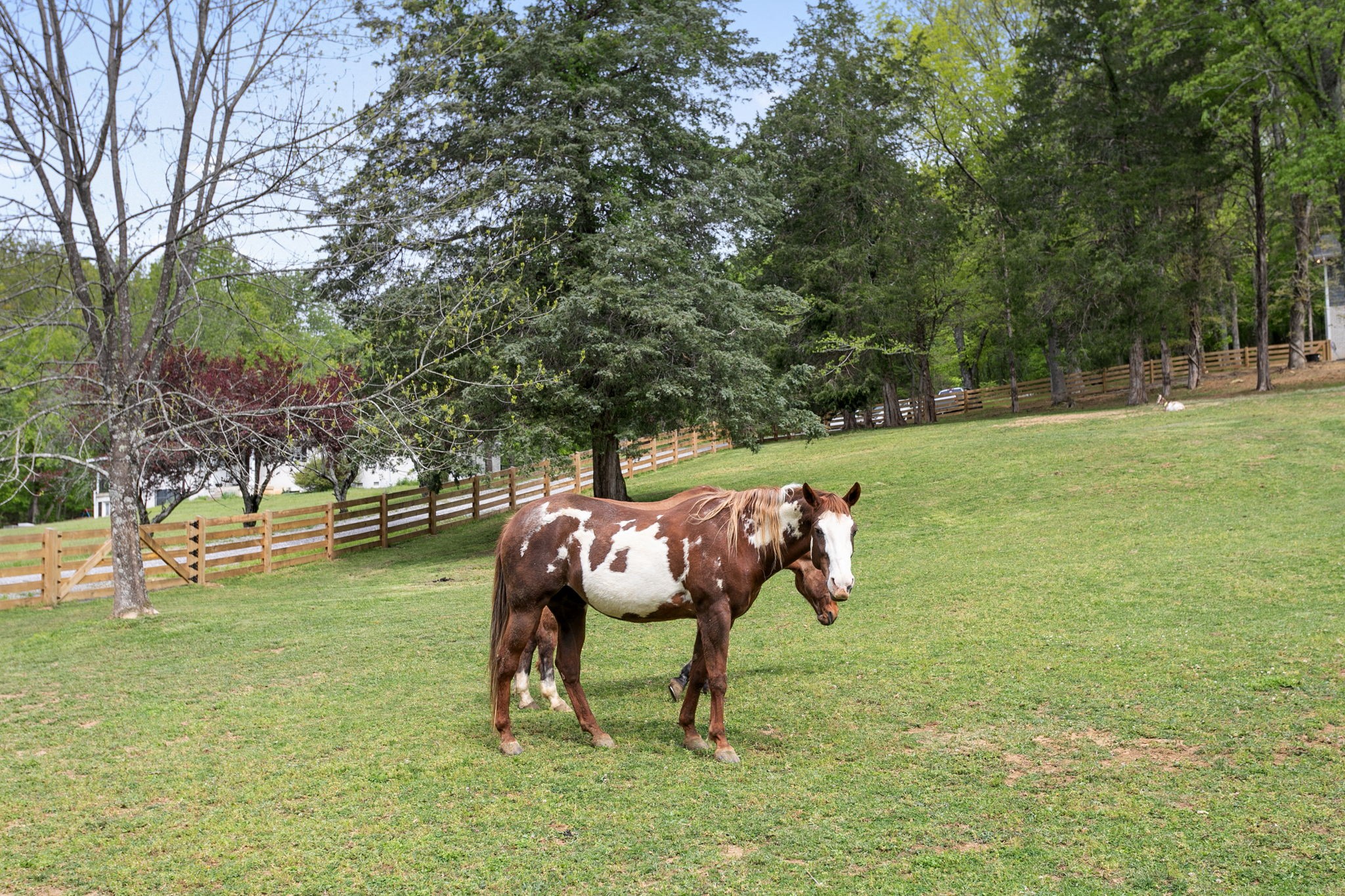 3347 Freeman Hollow Rd