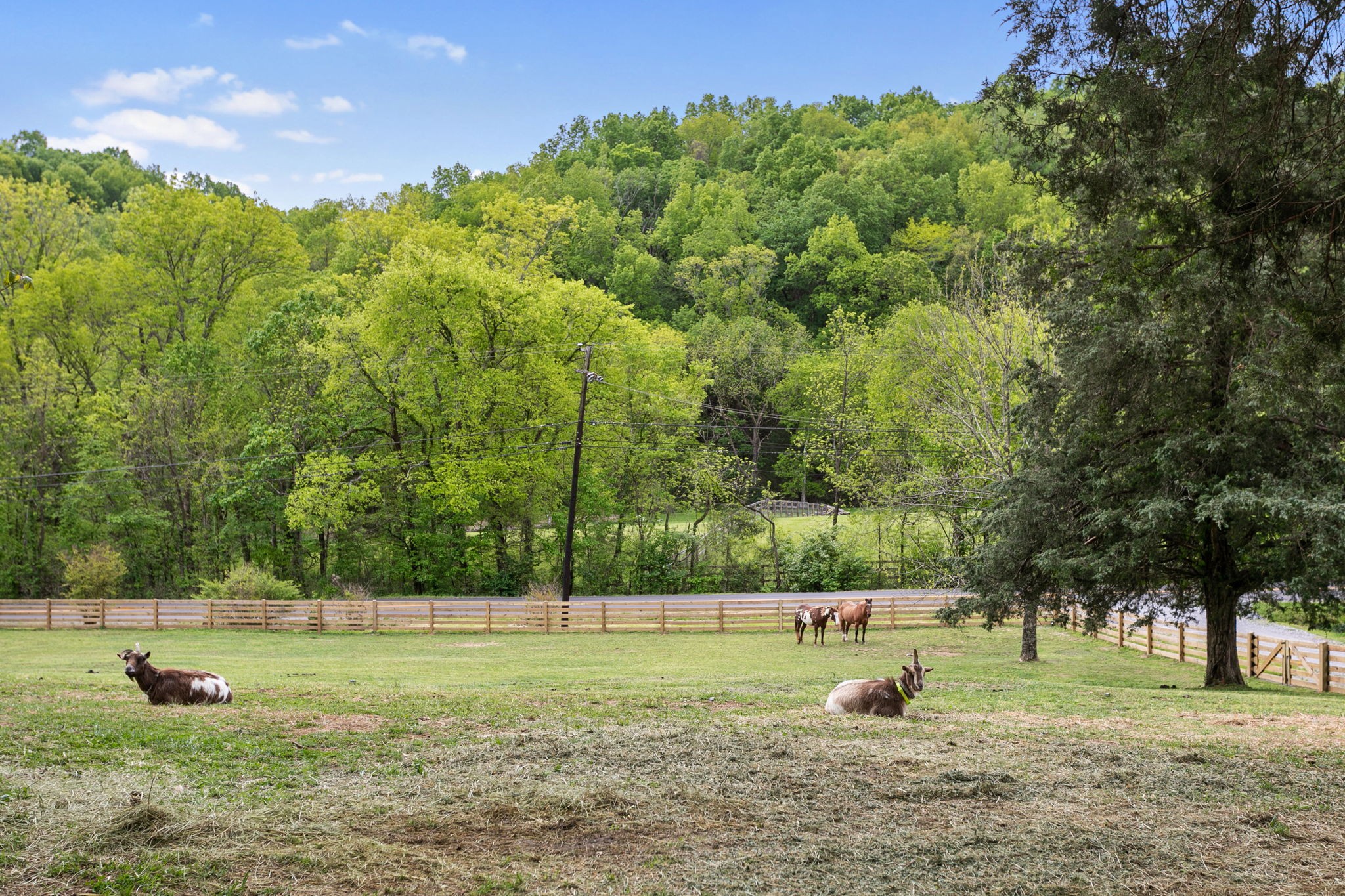3347 Freeman Hollow Rd