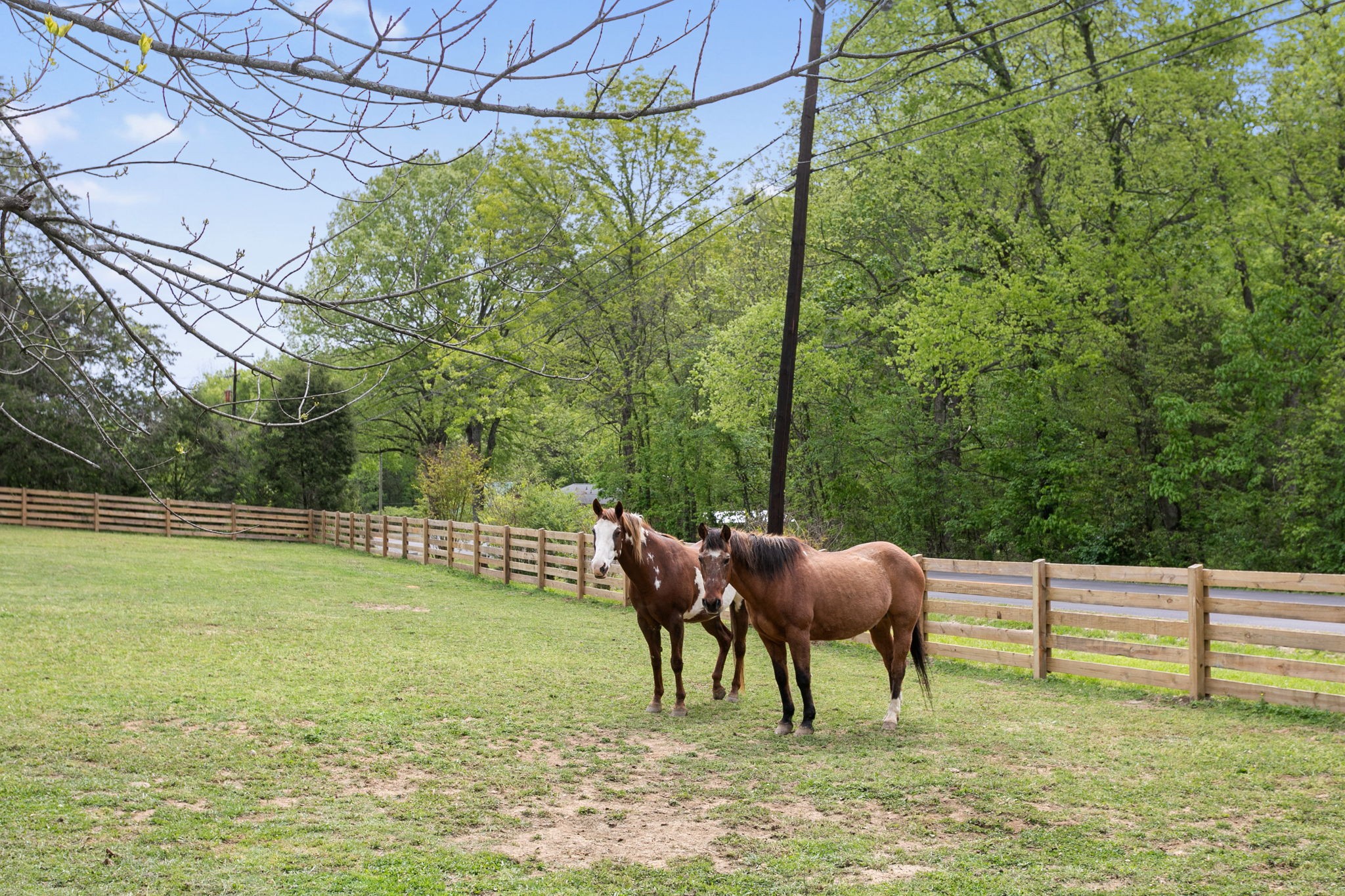 3347 Freeman Hollow Rd