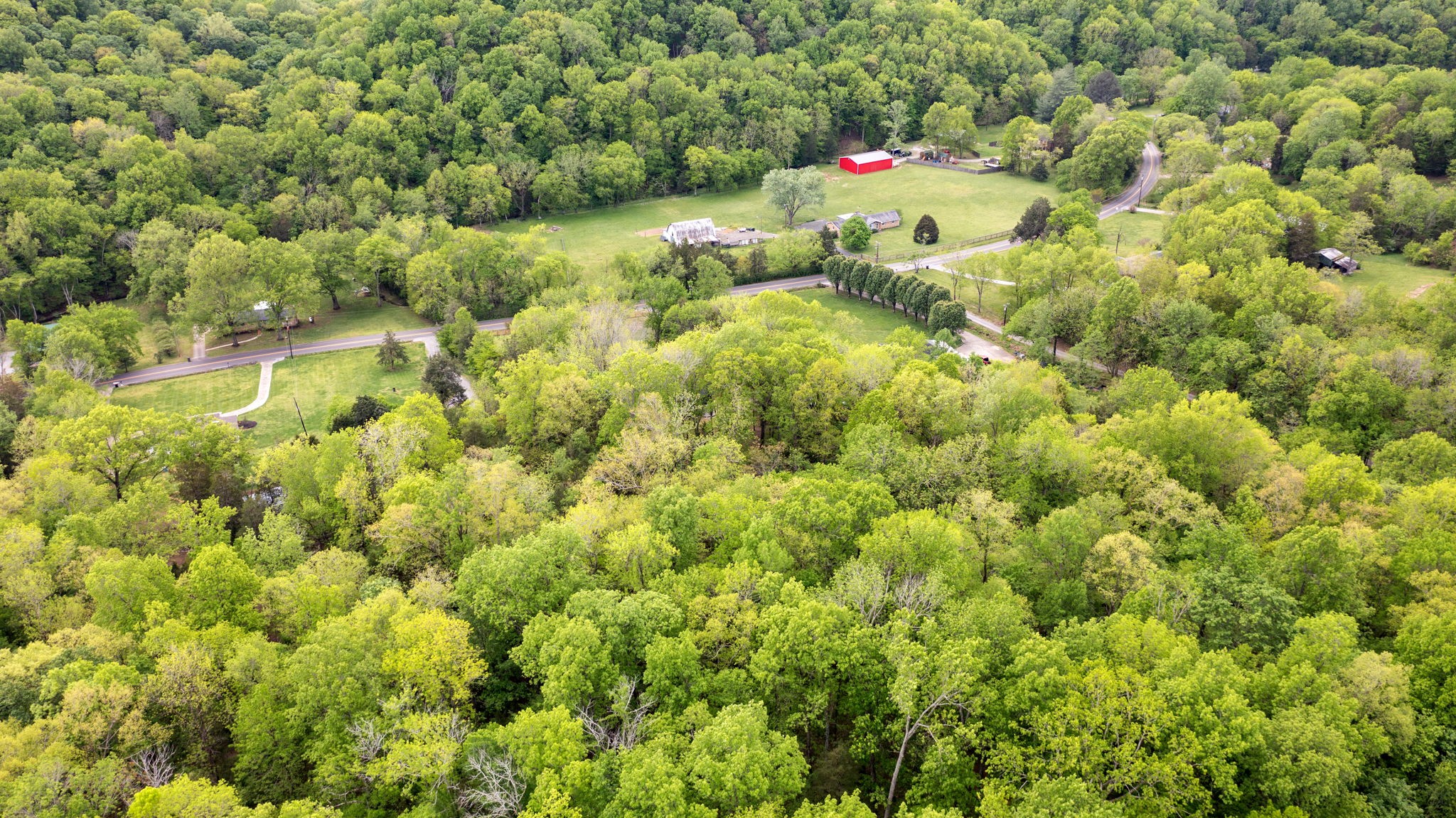 3347 Freeman Hollow Rd