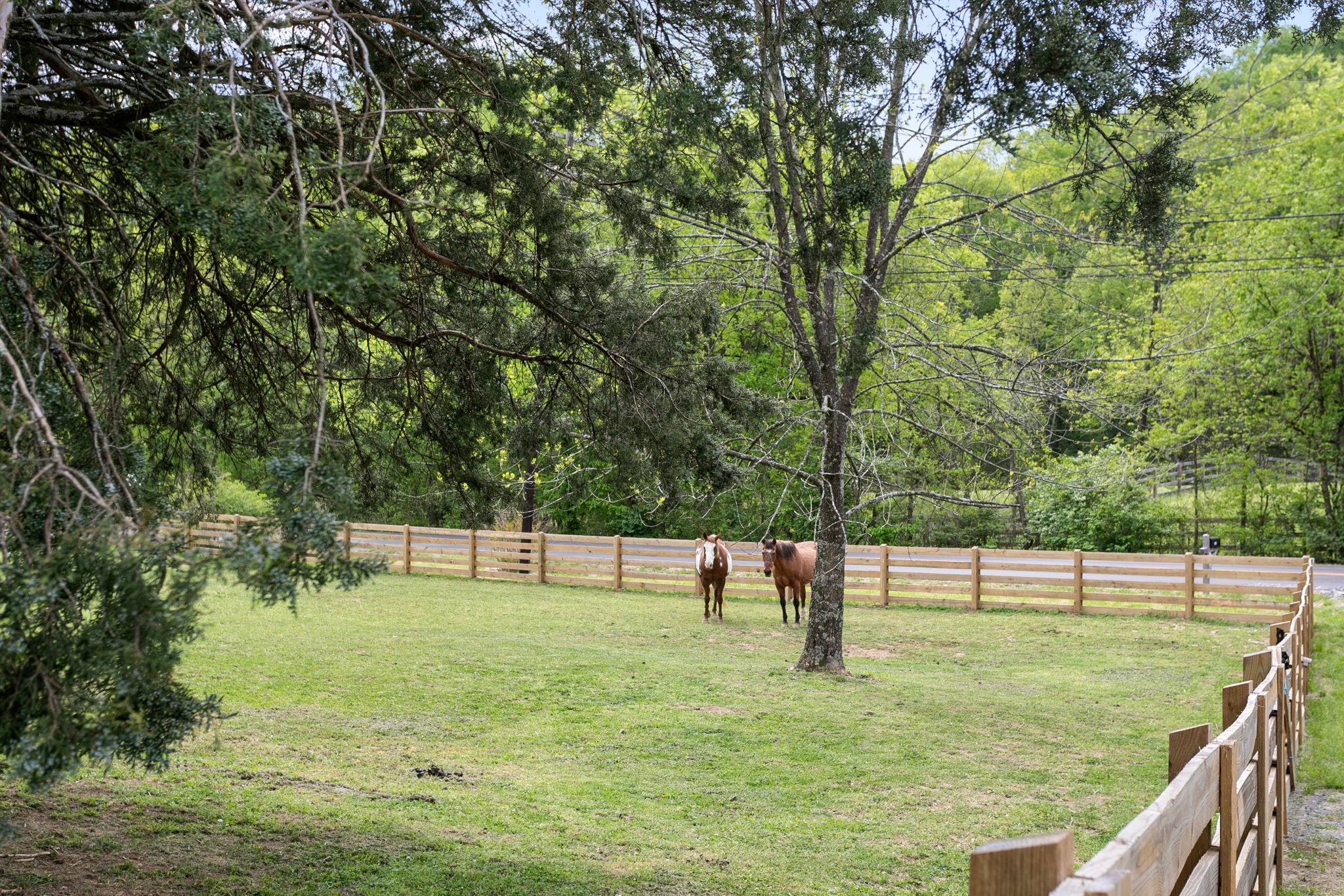 3347 Freeman Hollow Rd