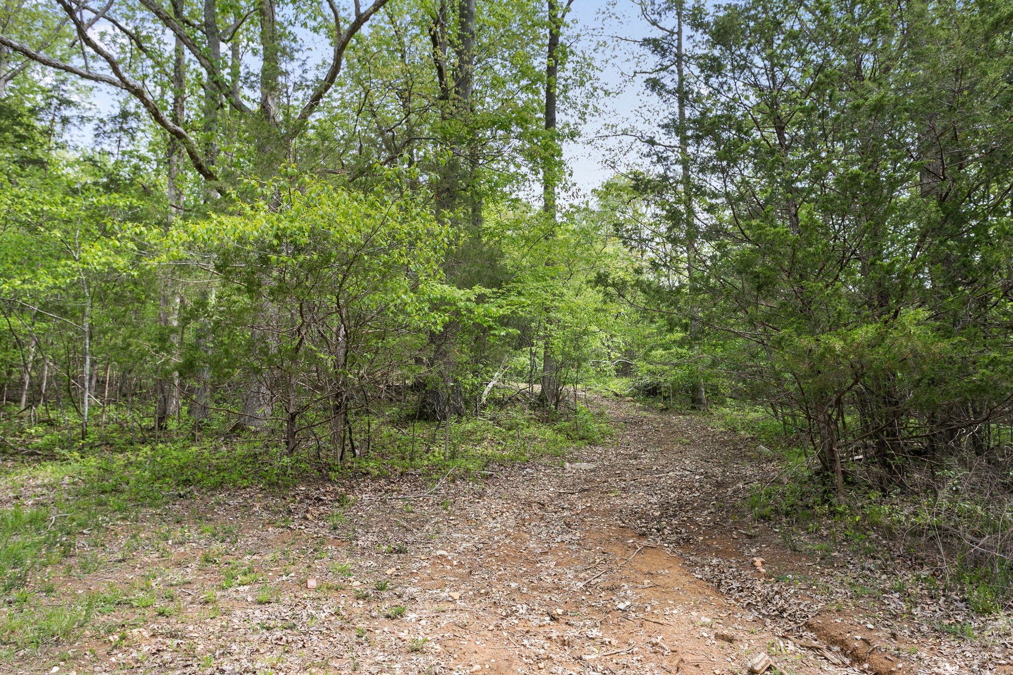 3347 Freeman Hollow Rd