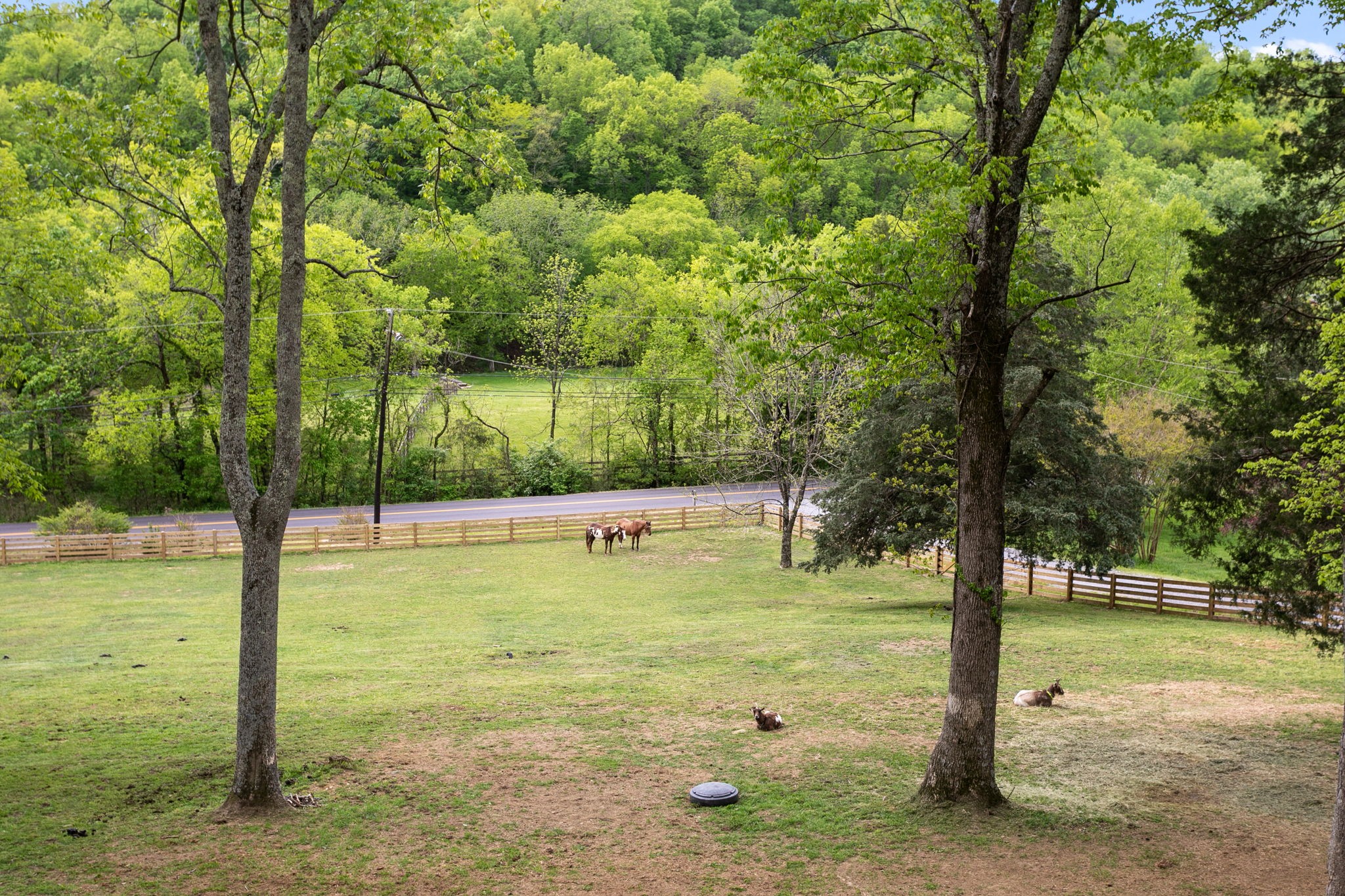 3347 Freeman Hollow Rd