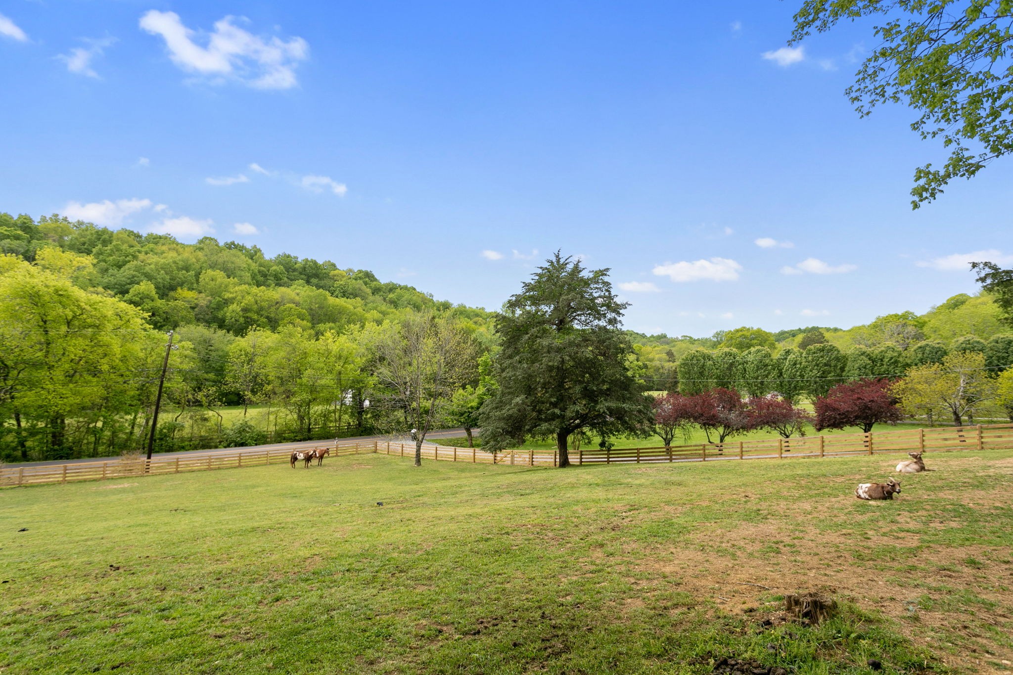 3347 Freeman Hollow Rd