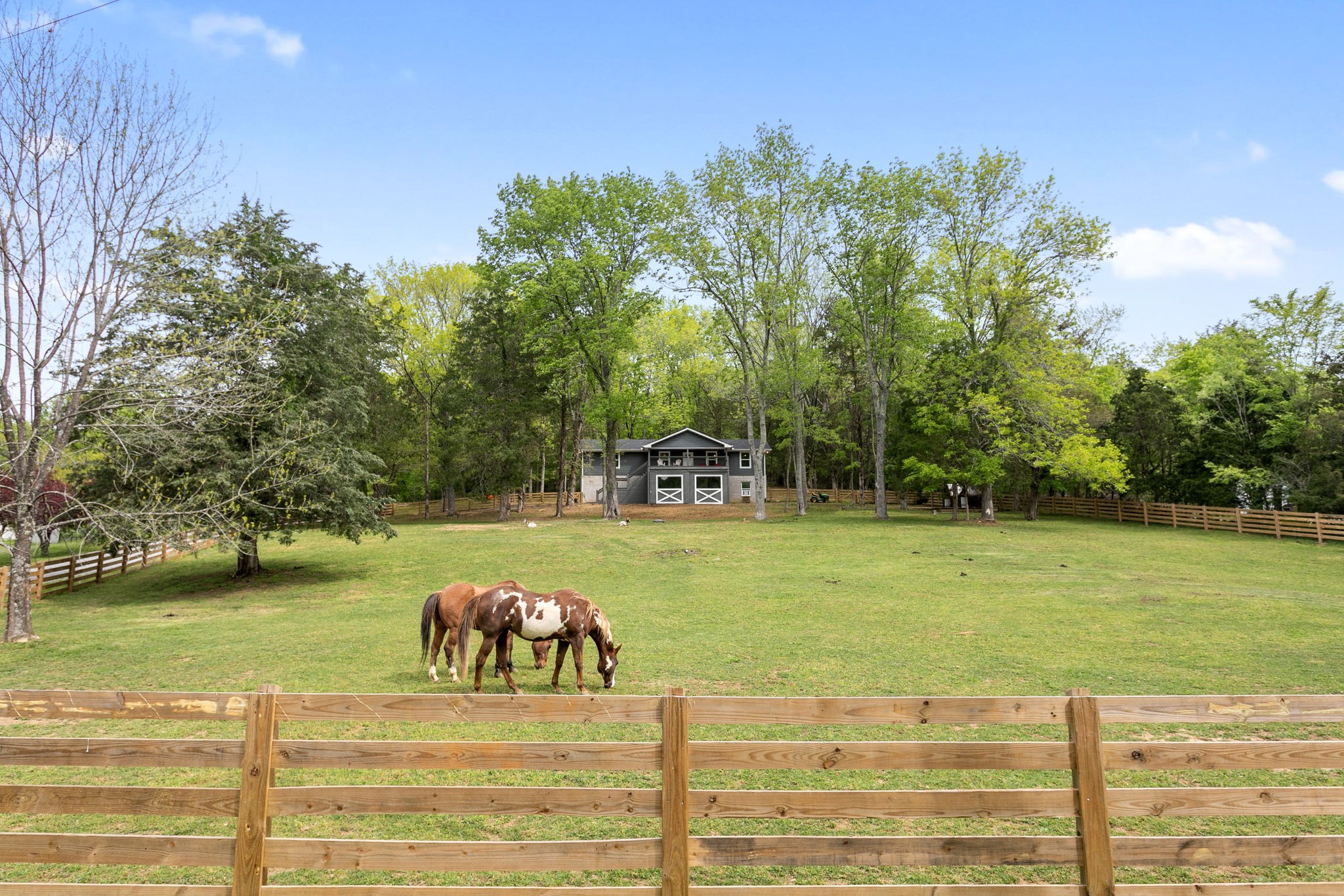 3347 Freeman Hollow Rd