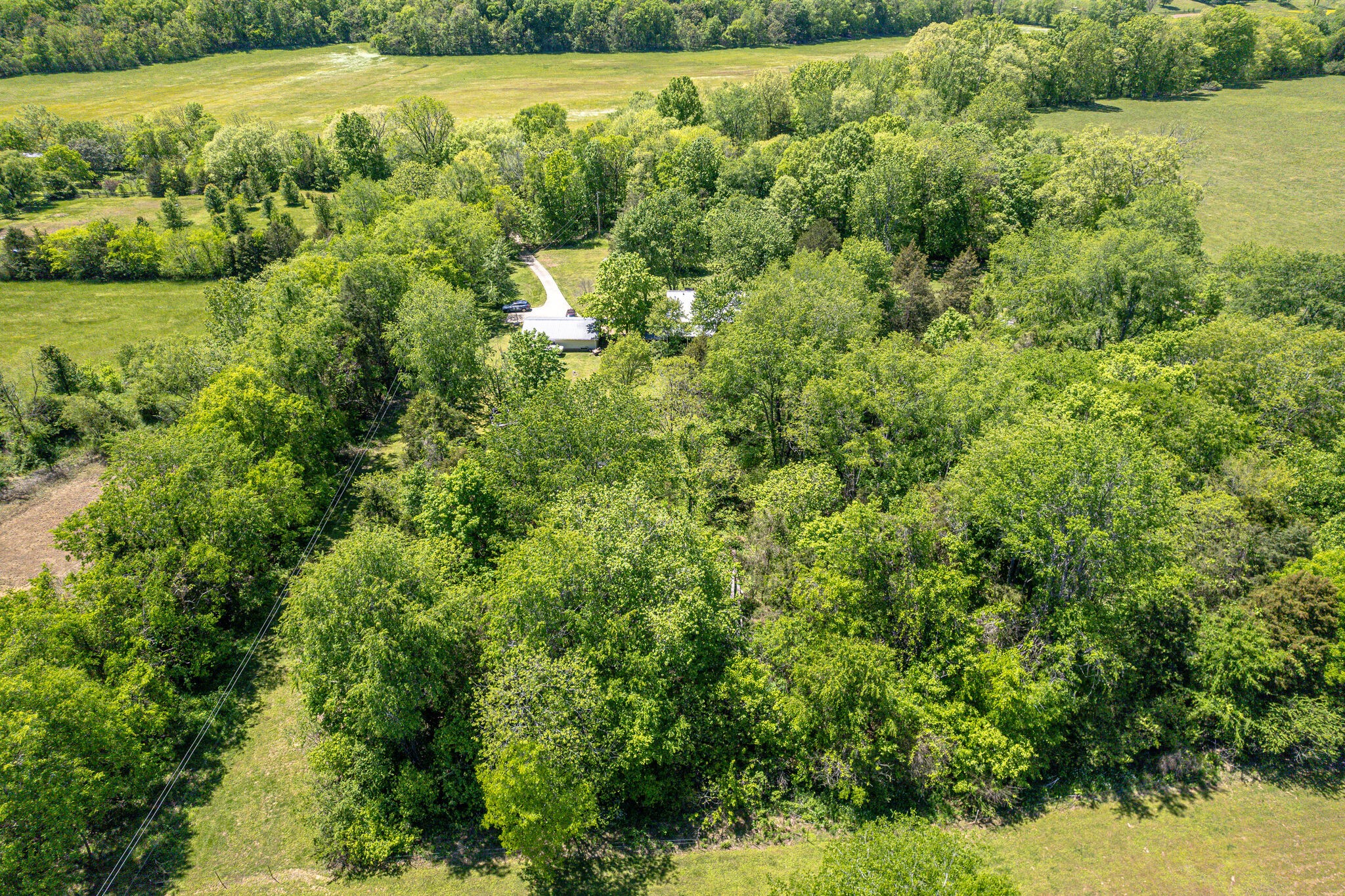 396A Pee Dee Branch Rd