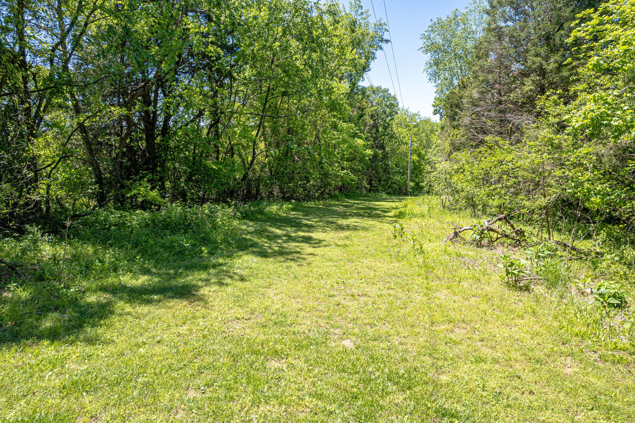396A Pee Dee Branch Rd