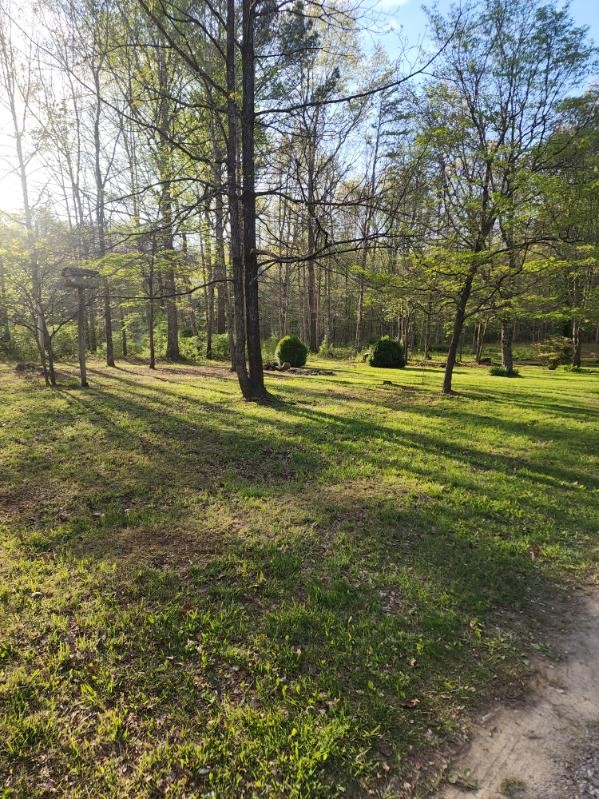 1815 Dogtown Rd