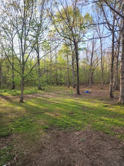 1815 Dogtown Rd