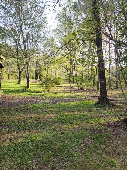 1815 Dogtown Rd