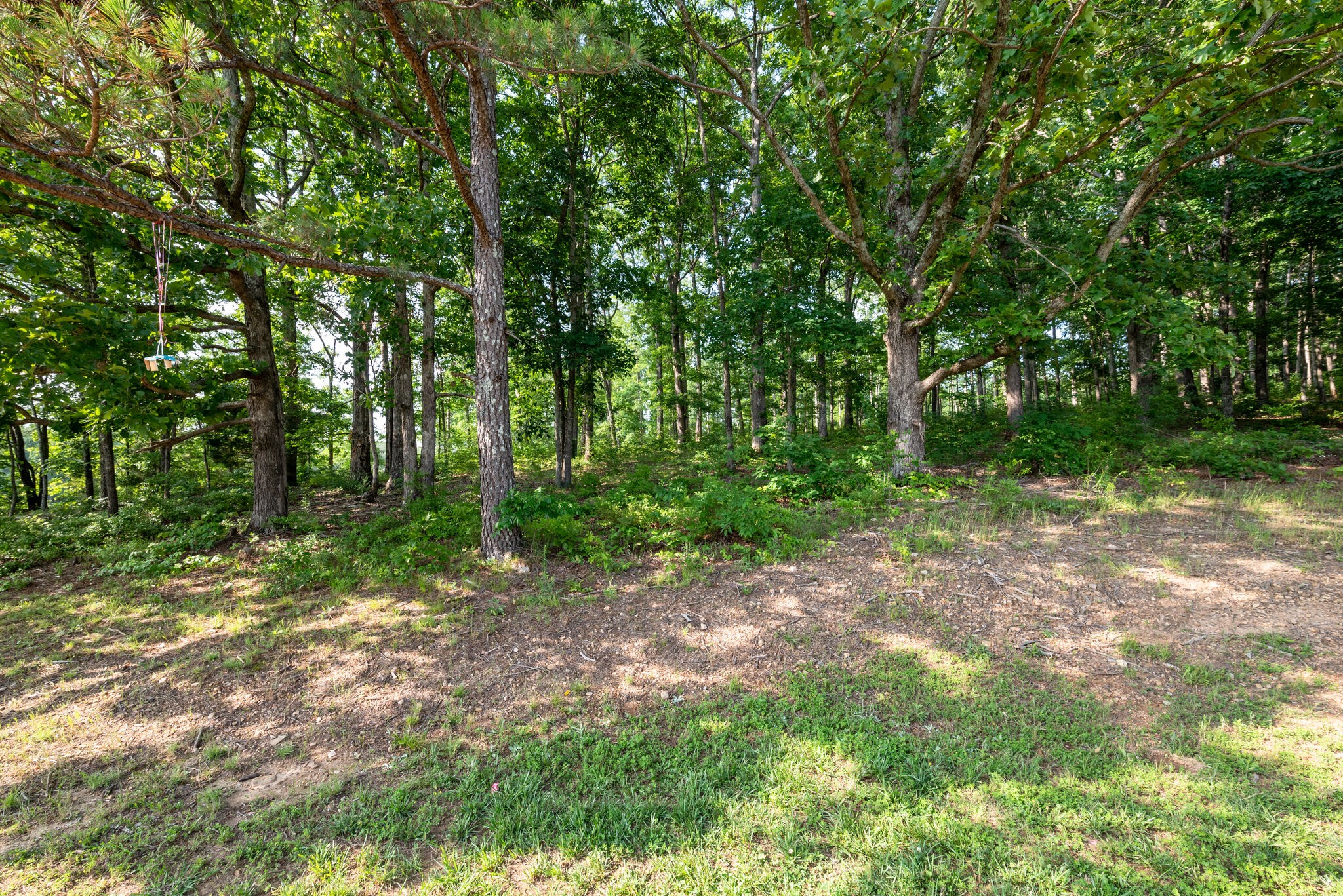 451 Pruett Rd