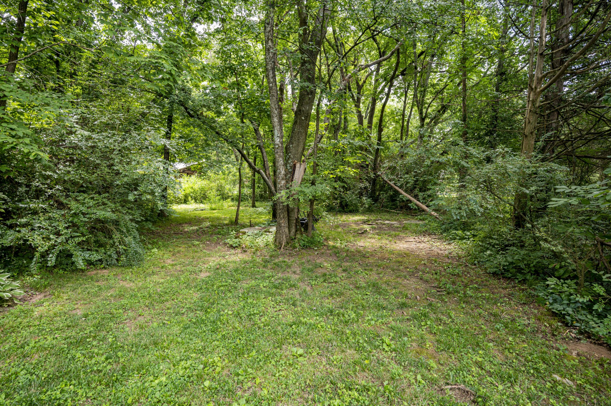 700 Cathy Ct