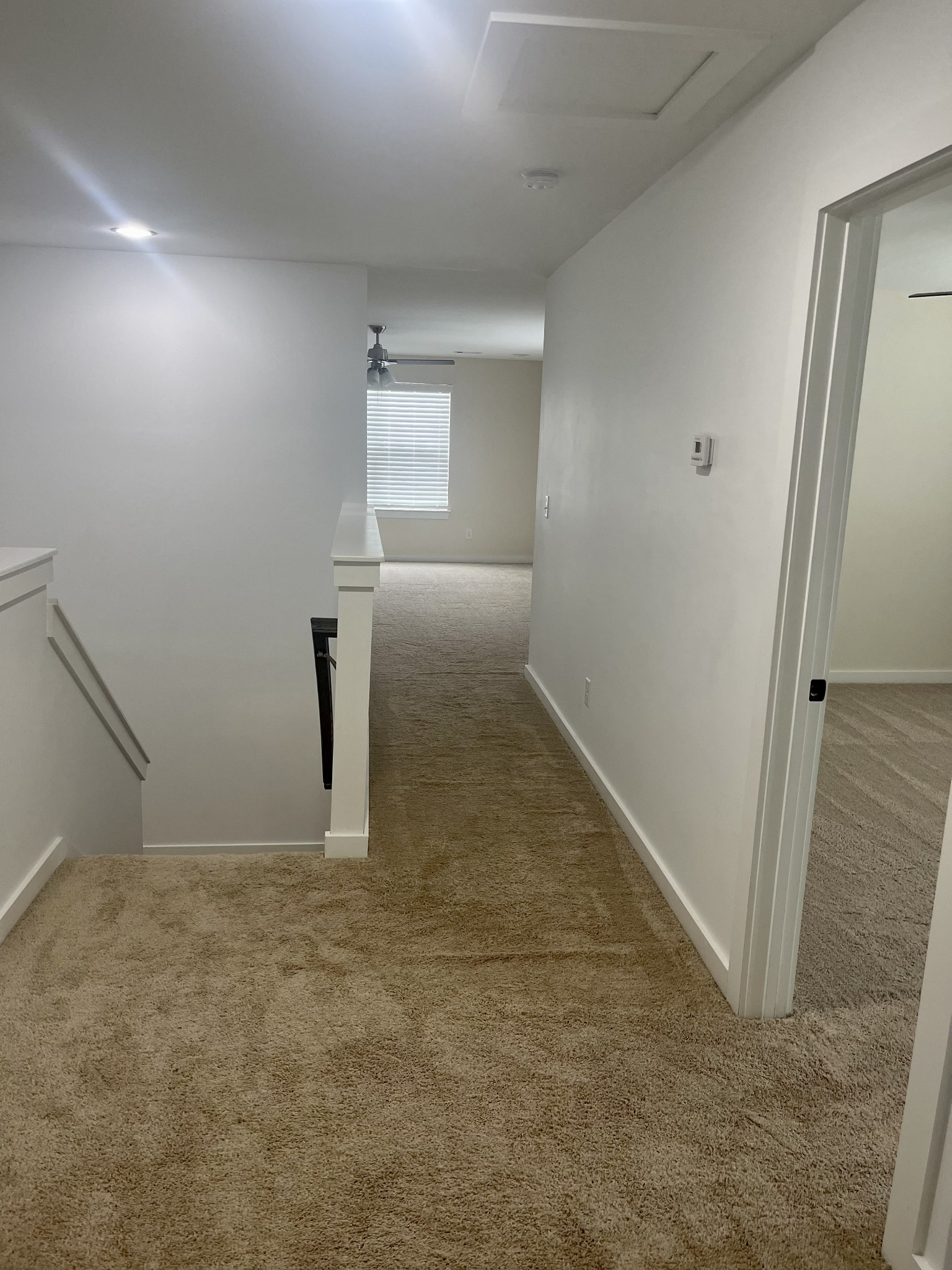 2412 Bullrush Ln