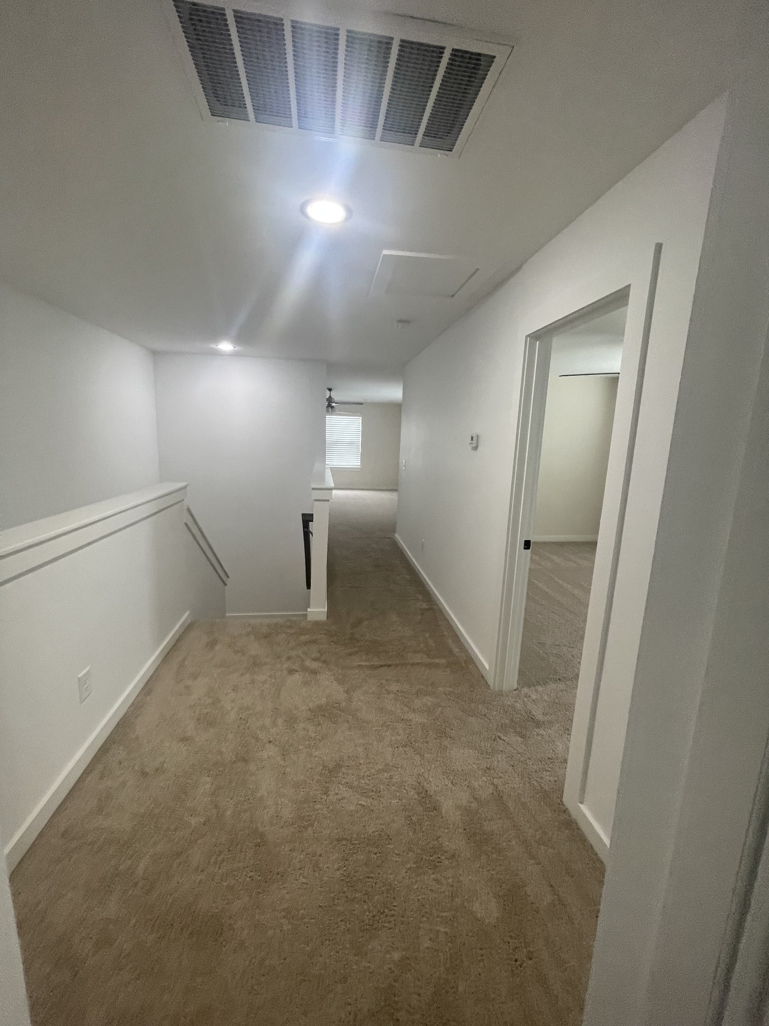 2412 Bullrush Ln