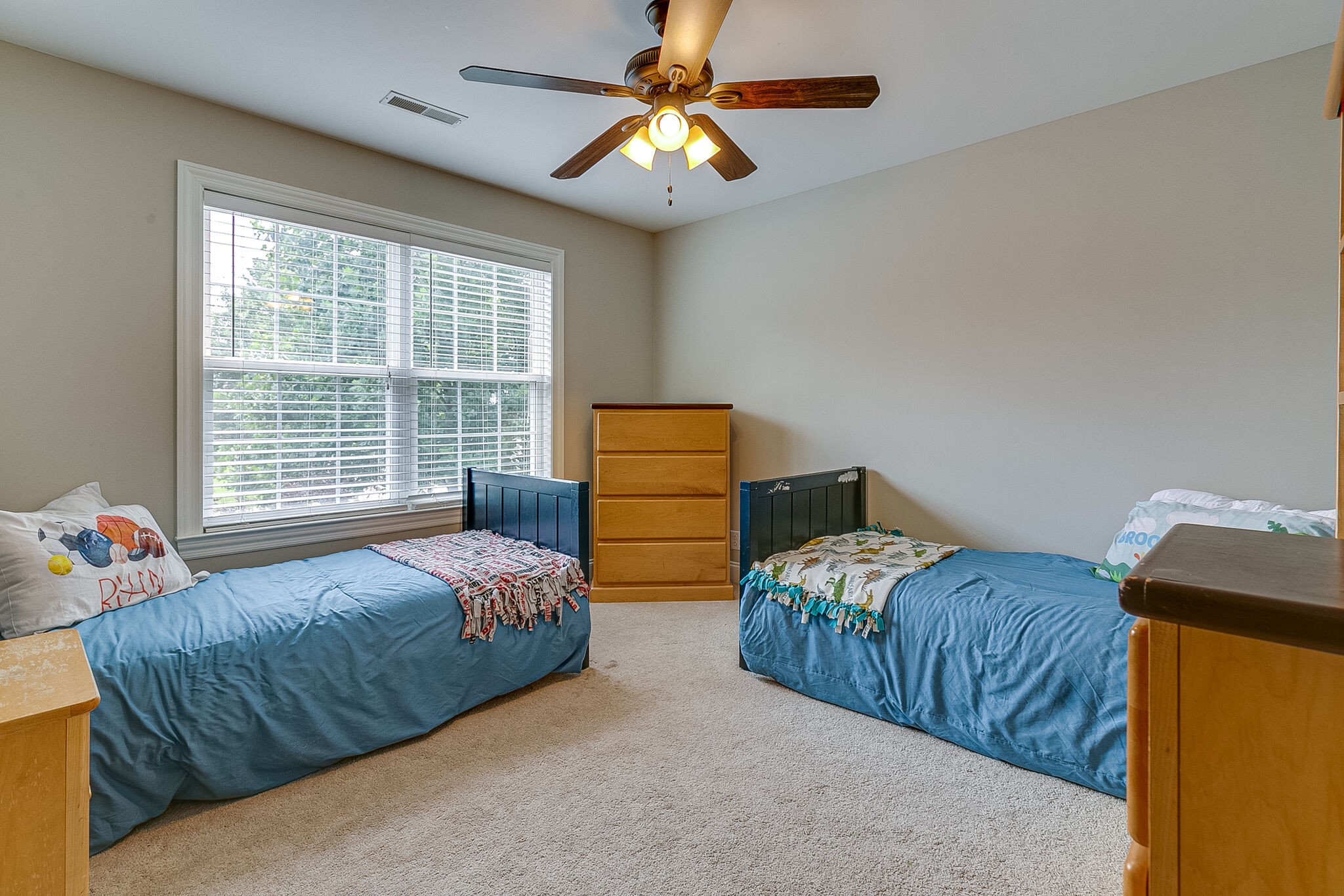 216 Old Orchard Dr