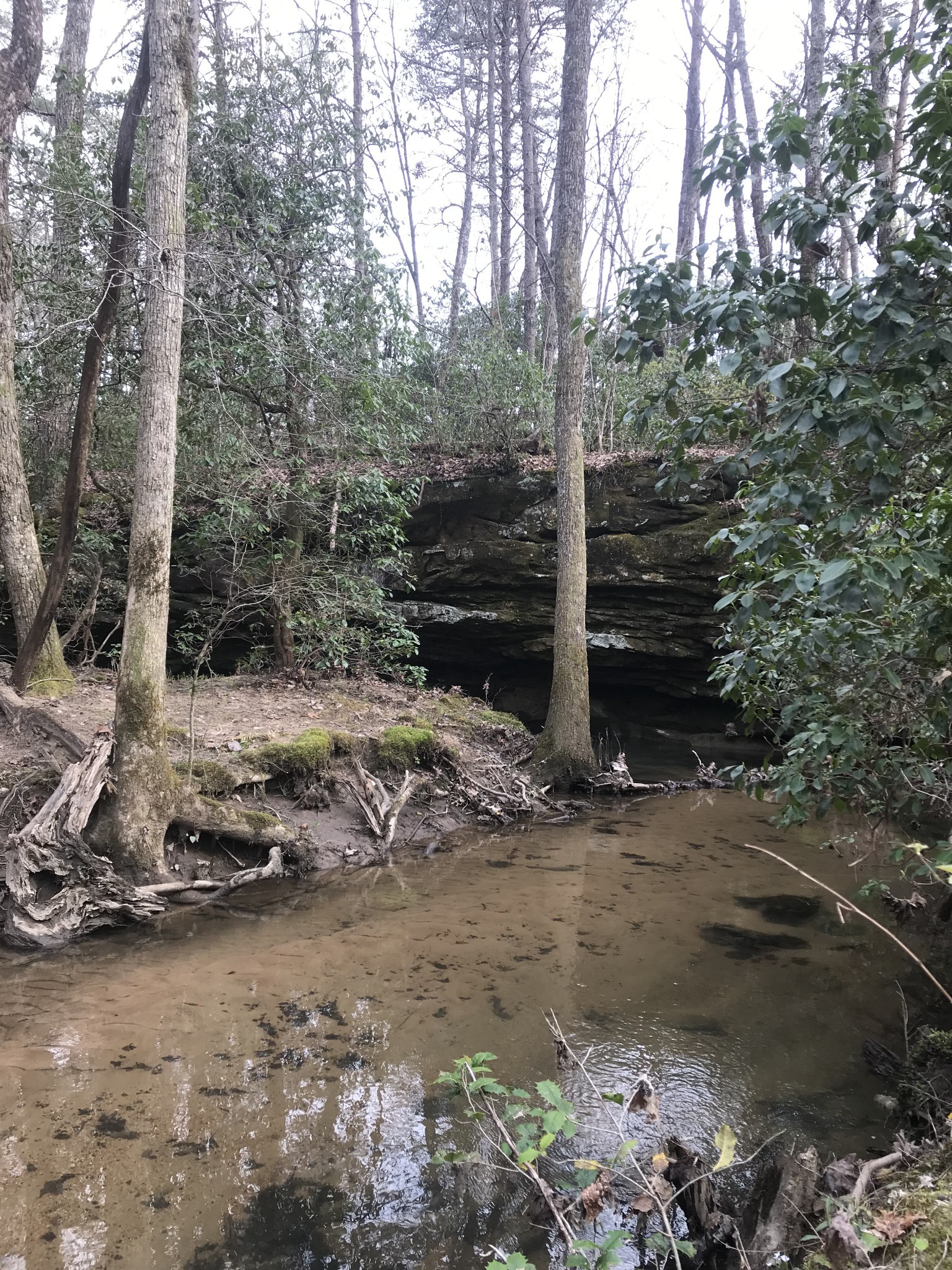 0 Old Falls Trail