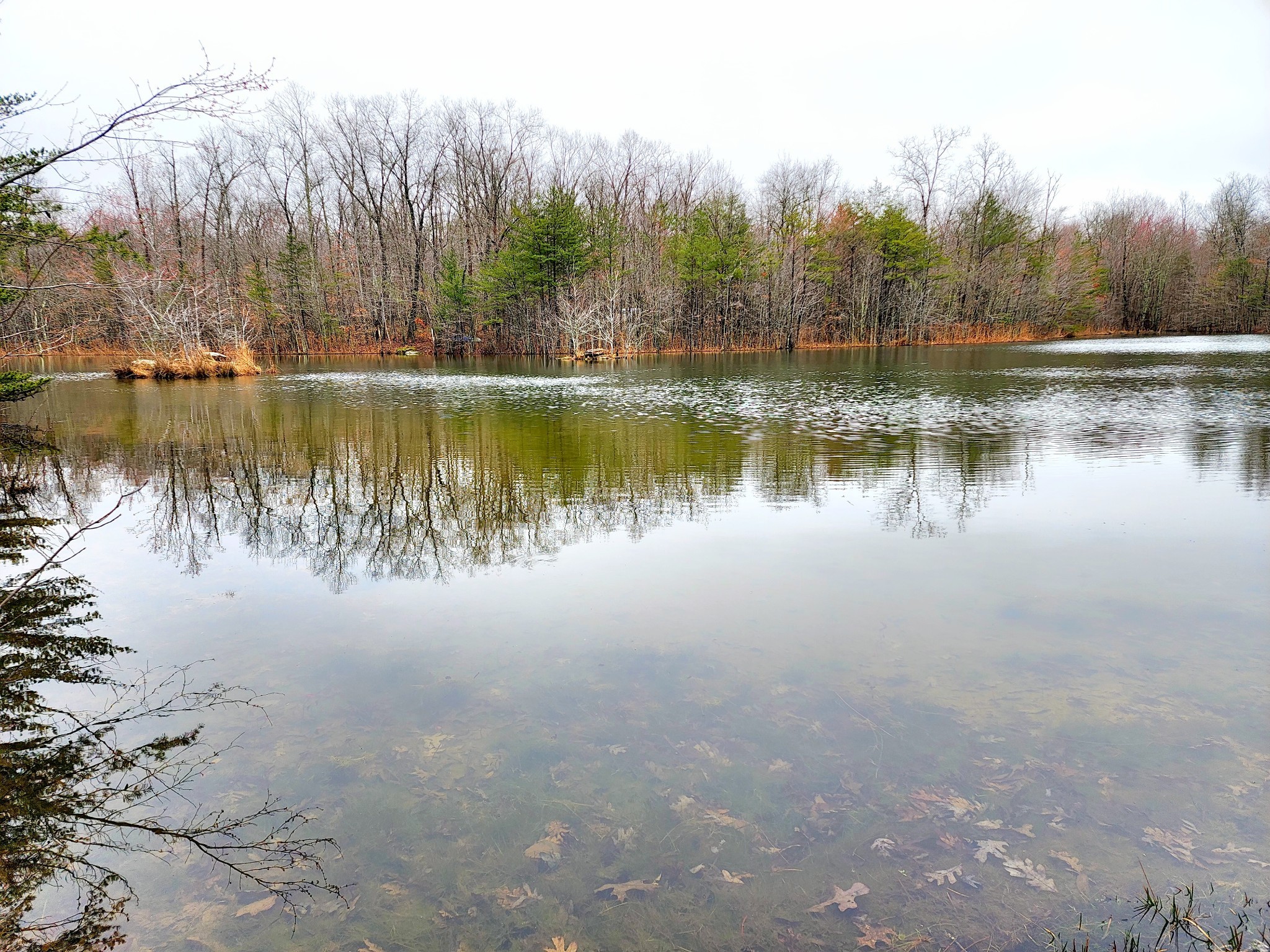 0 Old Falls Trail