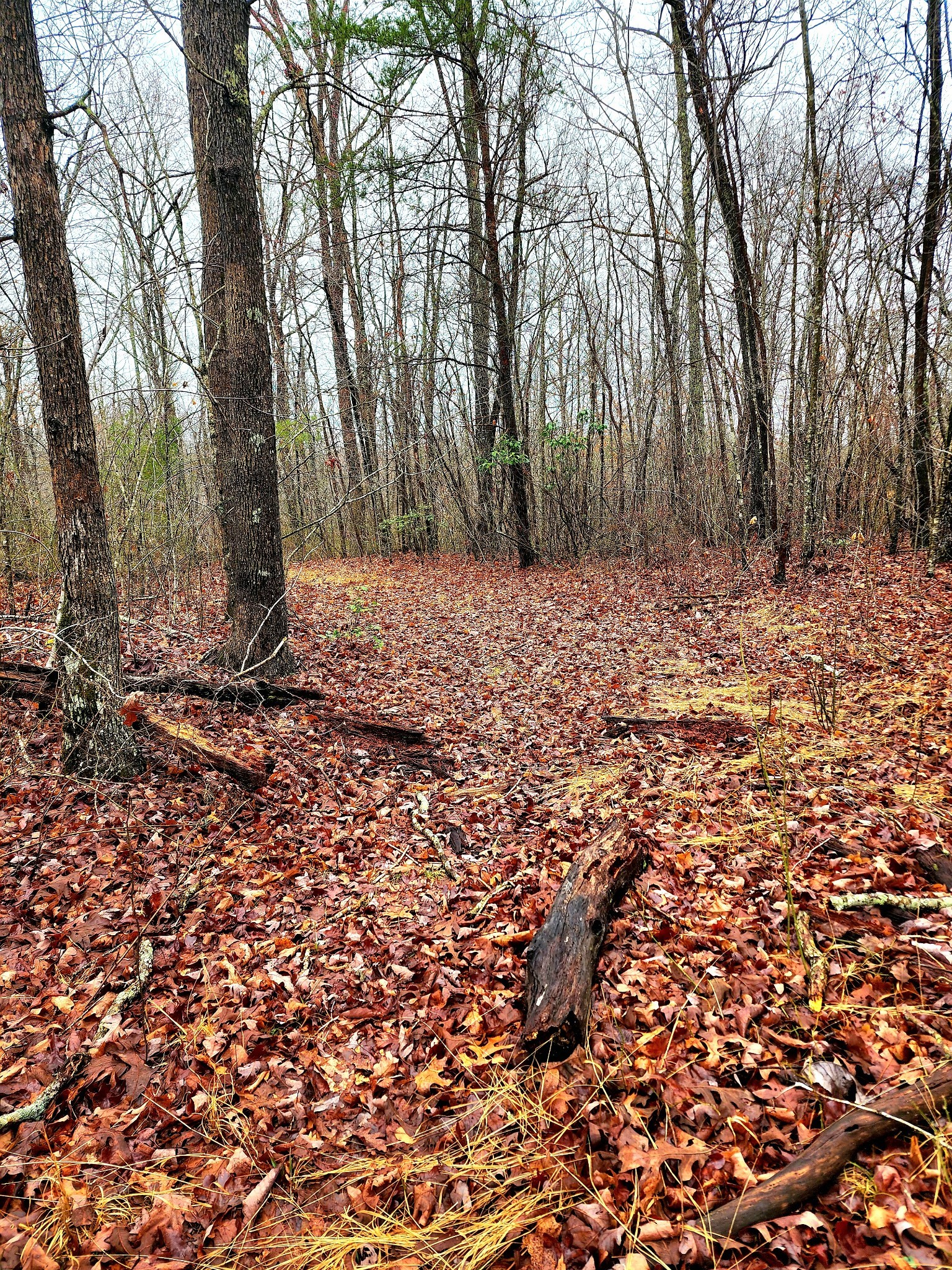 0 Old Falls Trail