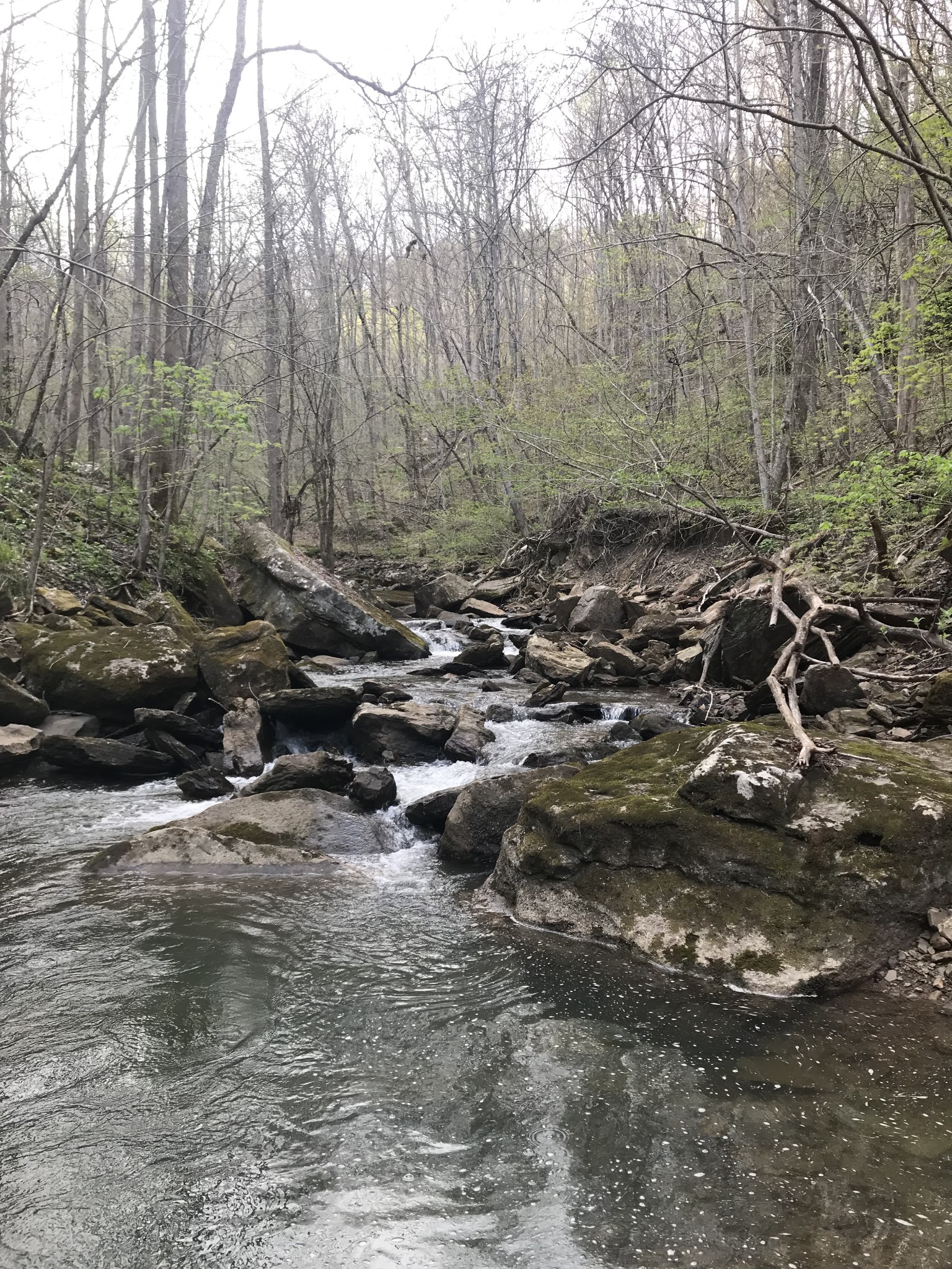 0 Old Falls Trail