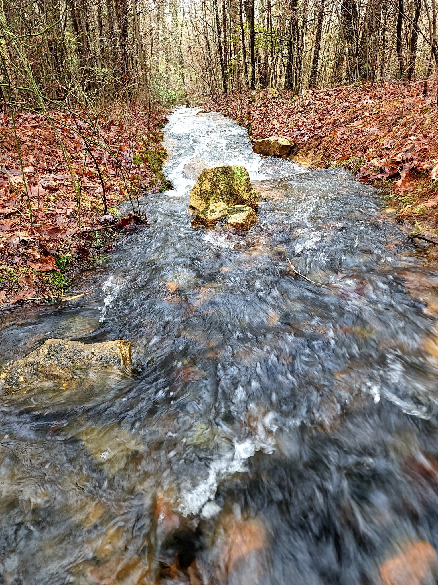 0 Old Falls Trail