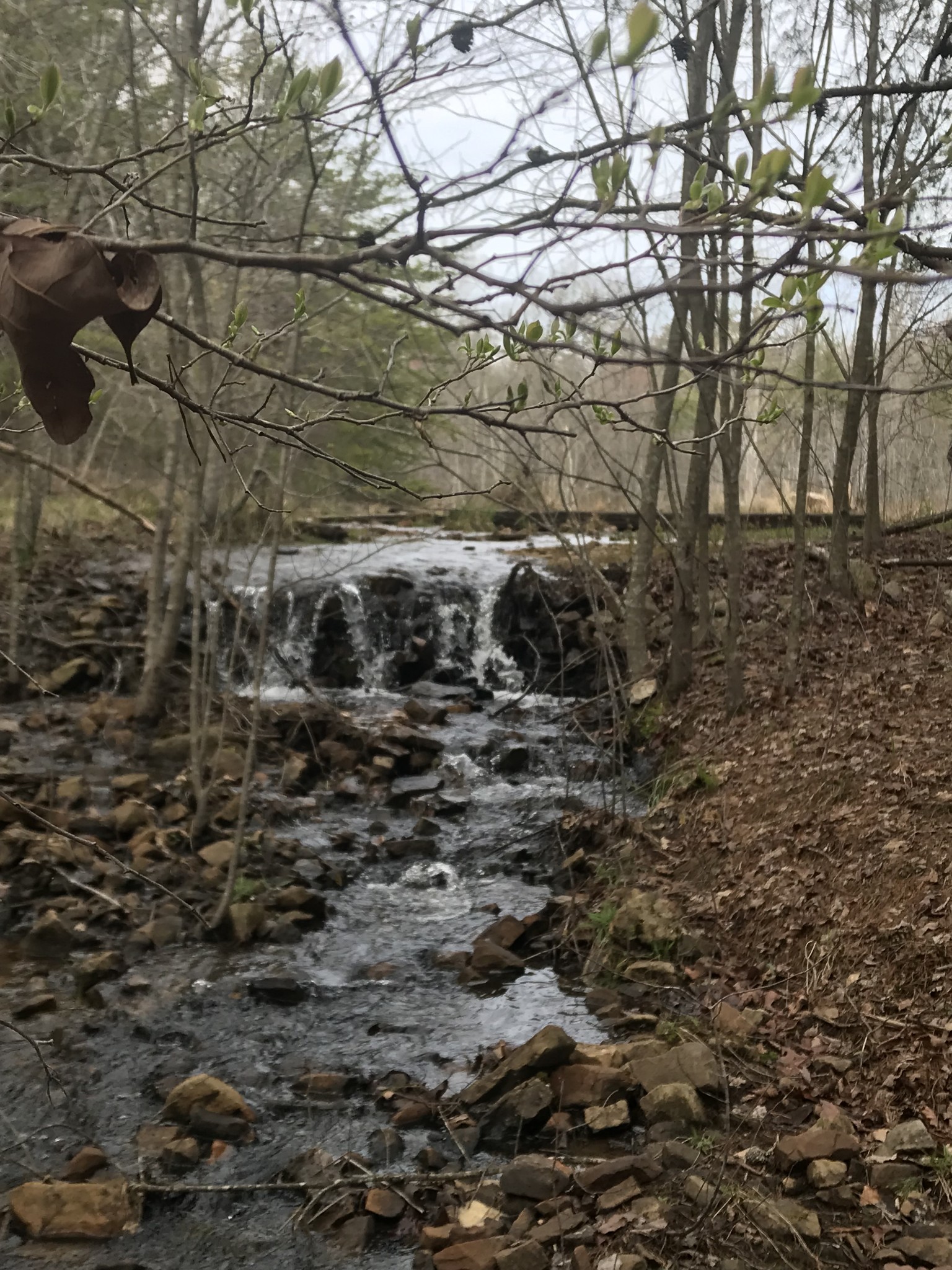 0 Old Falls Trail