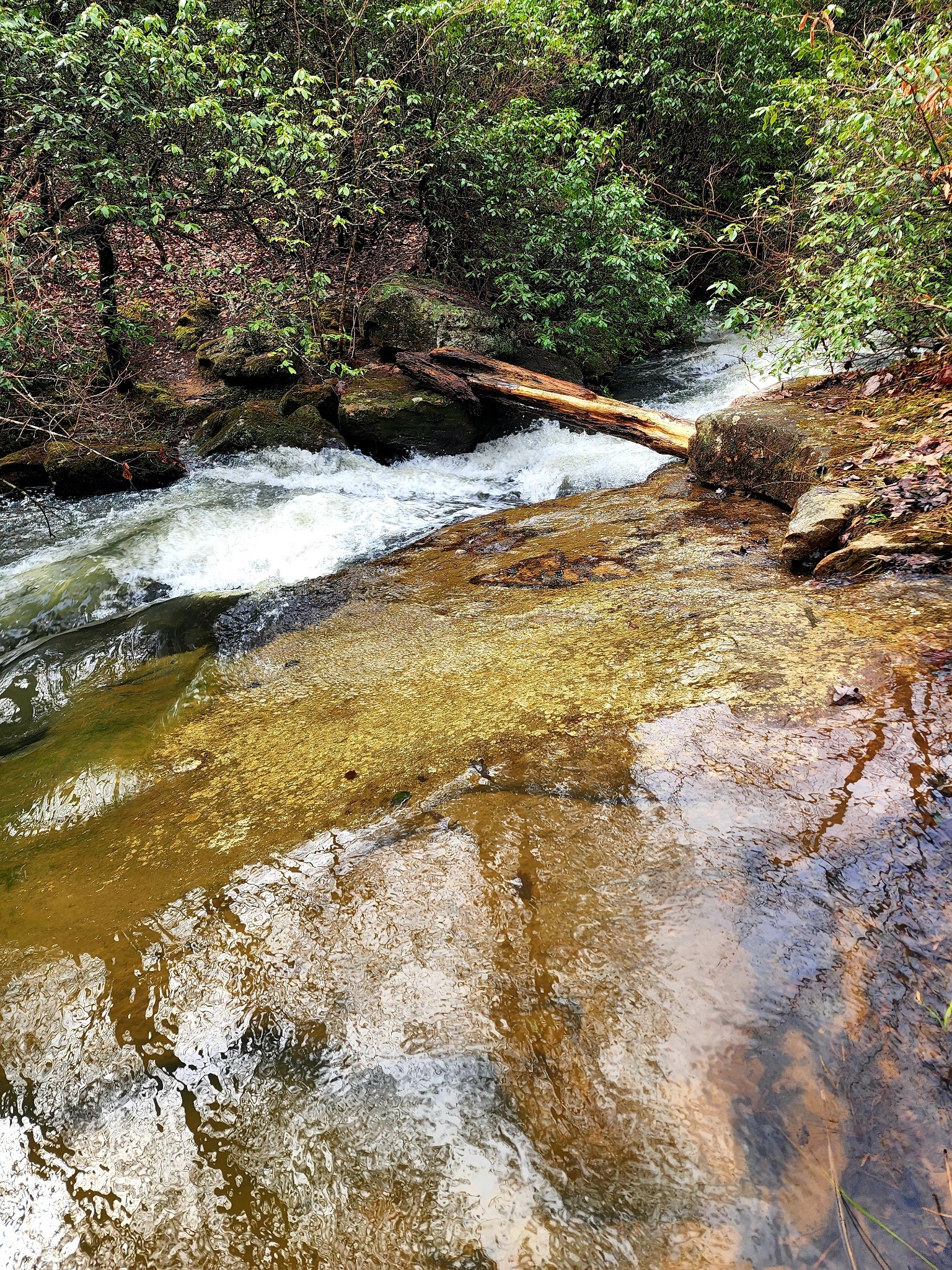 0 Old Falls Trail