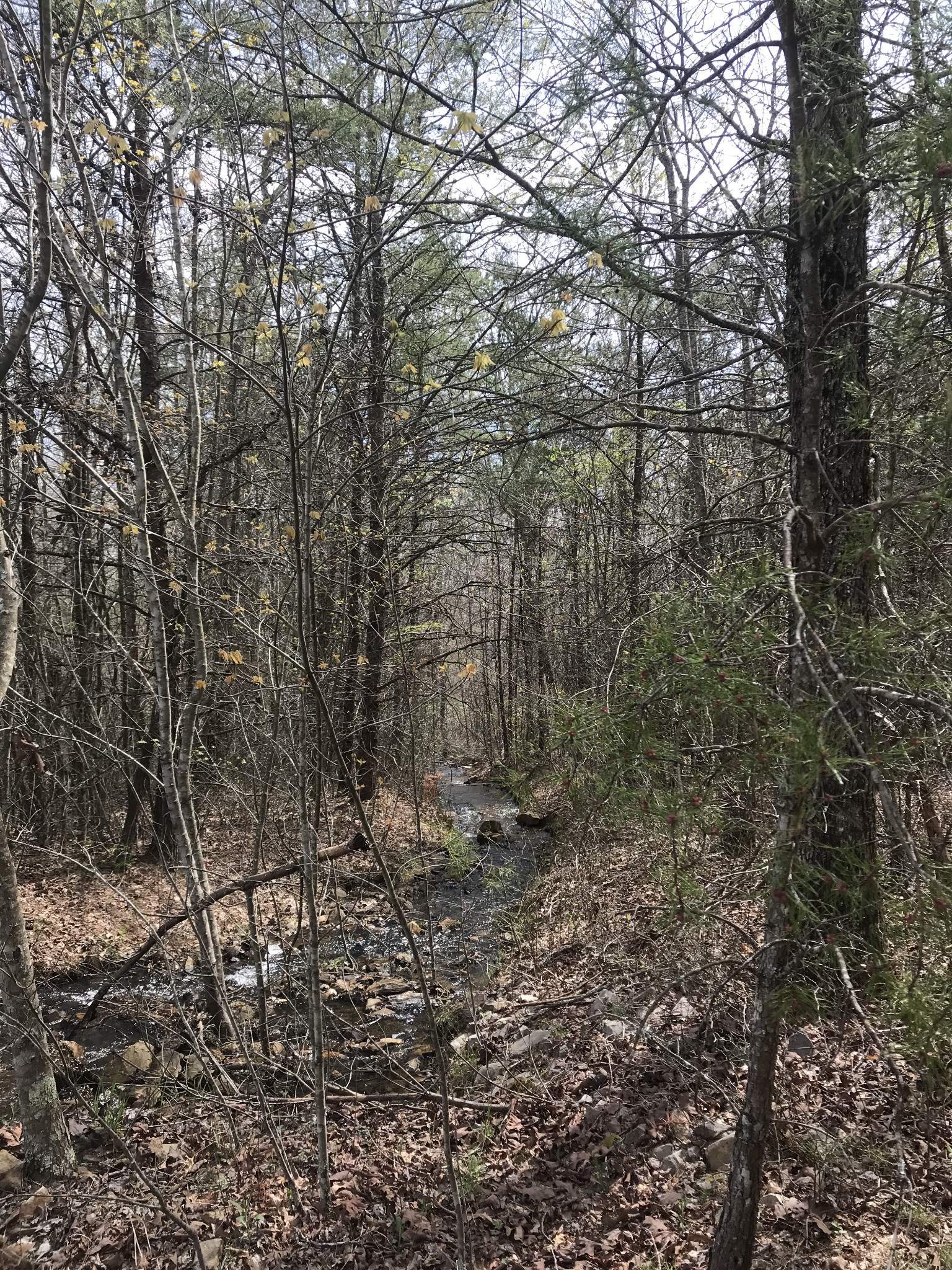 0 Old Falls Trail
