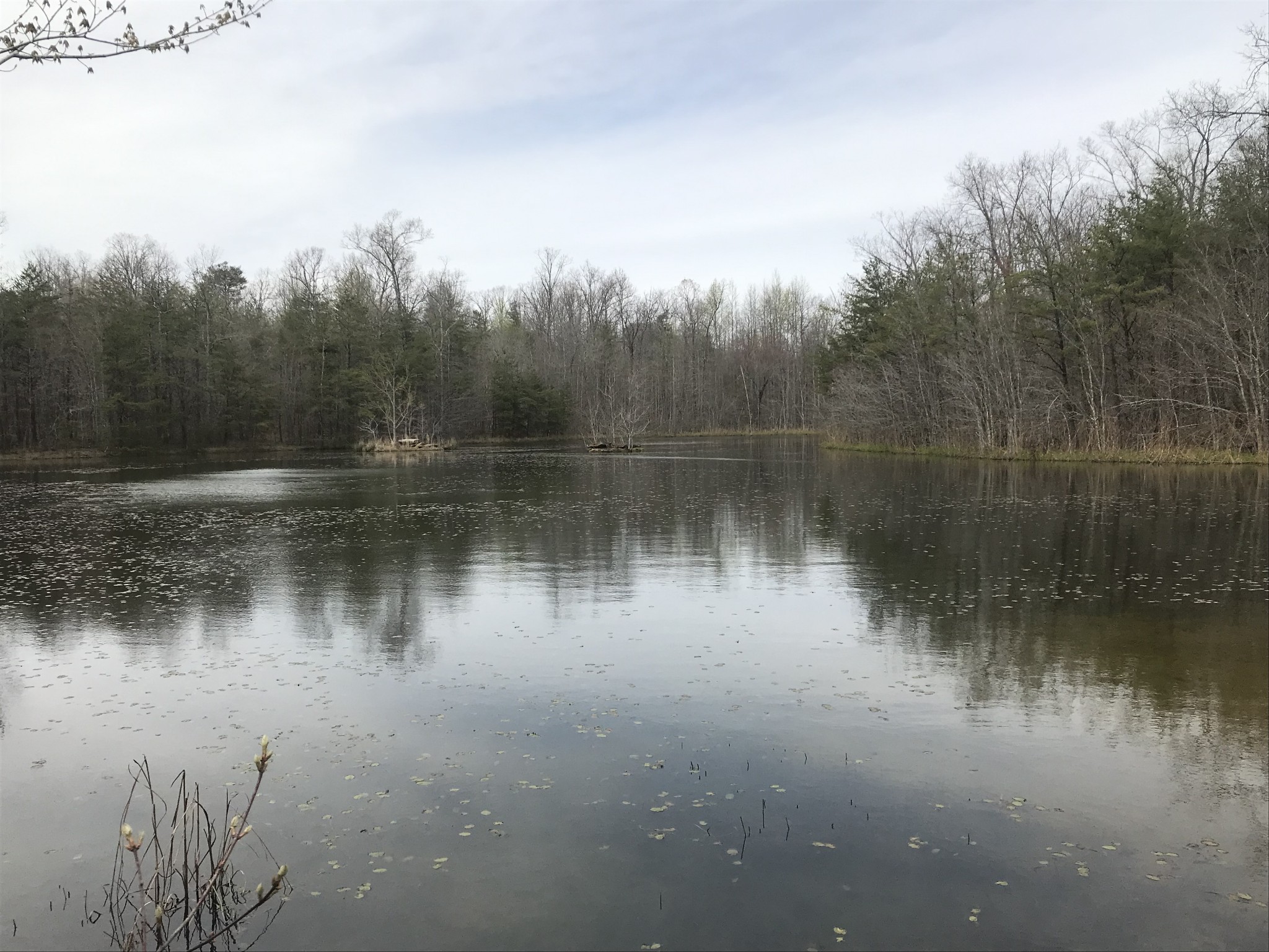 0 Old Falls Trail