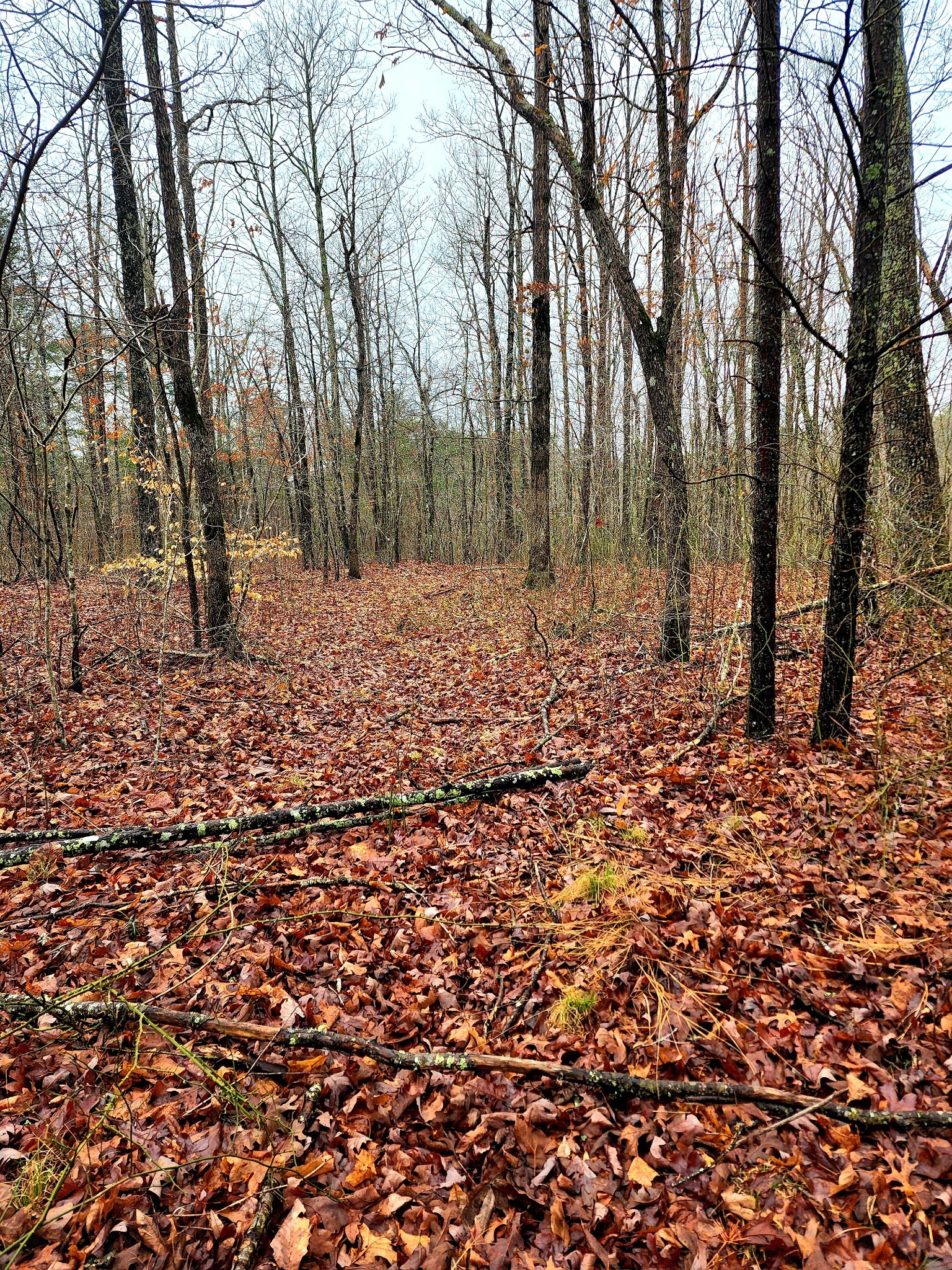 0 Old Falls Trail