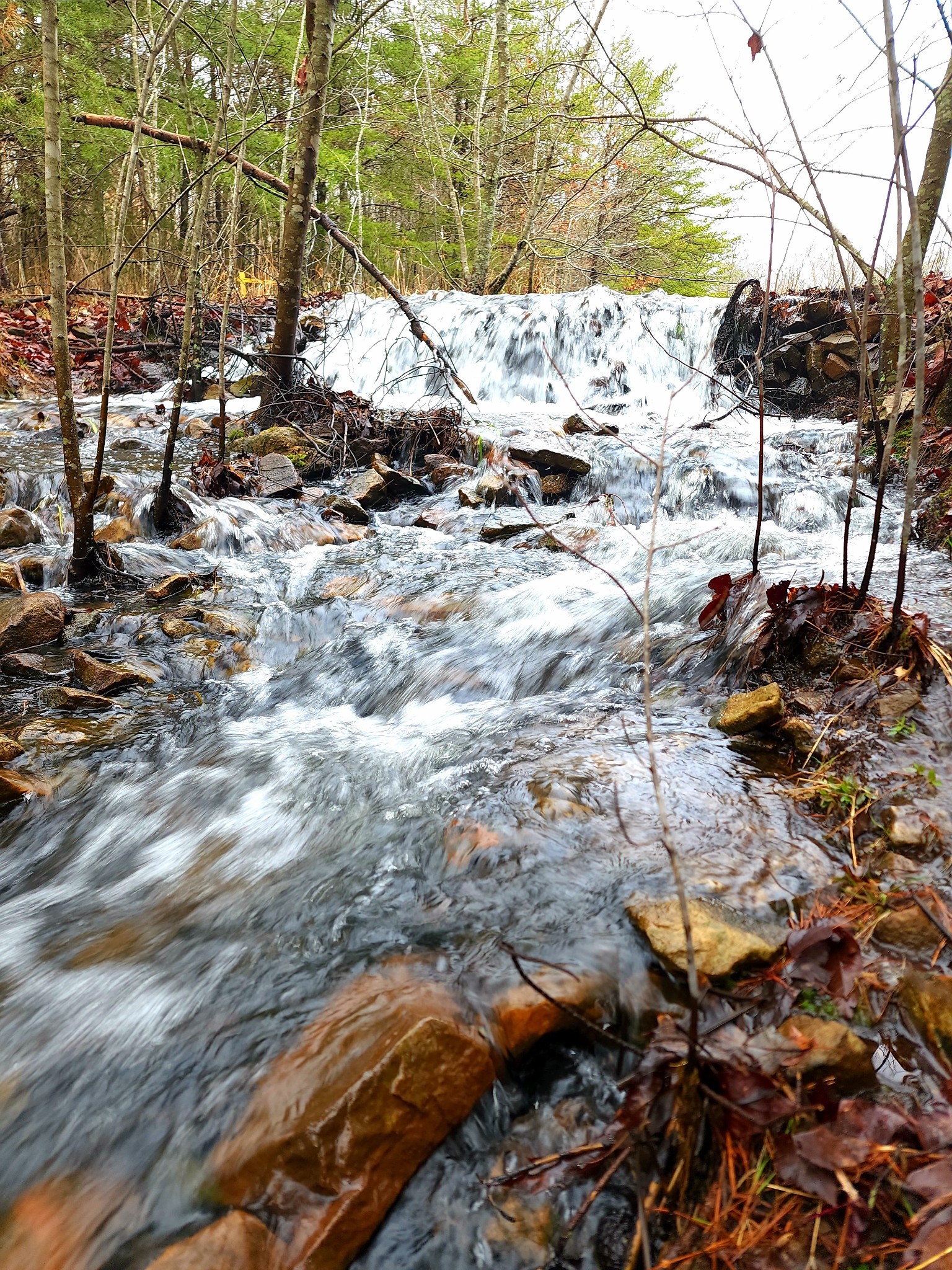 0 Old Falls Trail