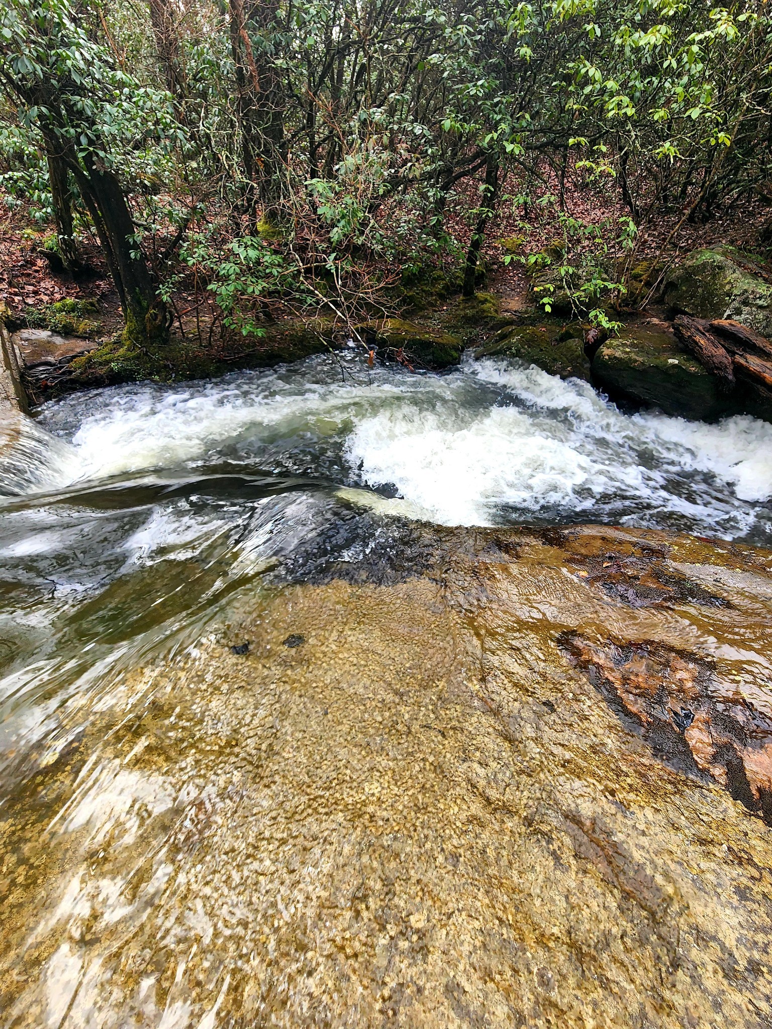 0 Old Falls Trail