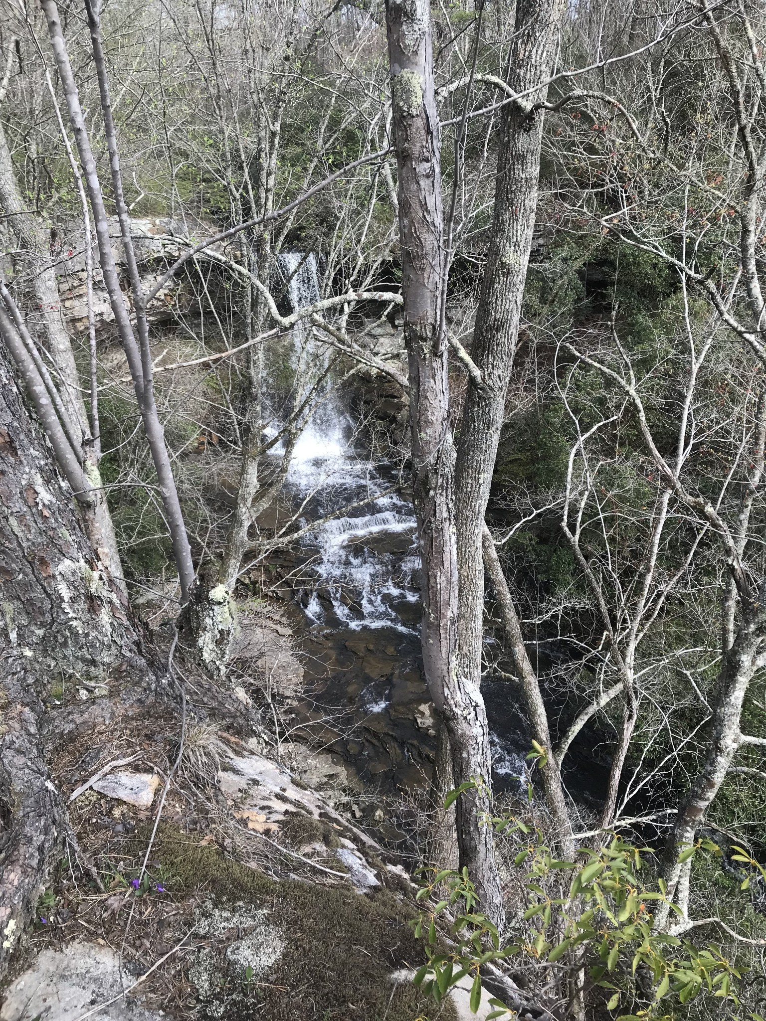 0 Old Falls Trail