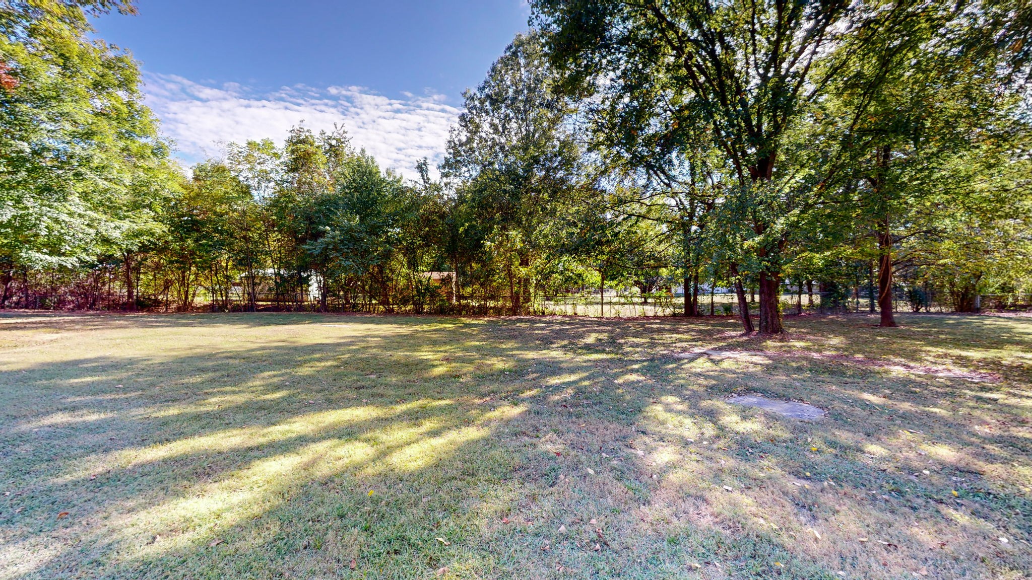1033 Snead Drive