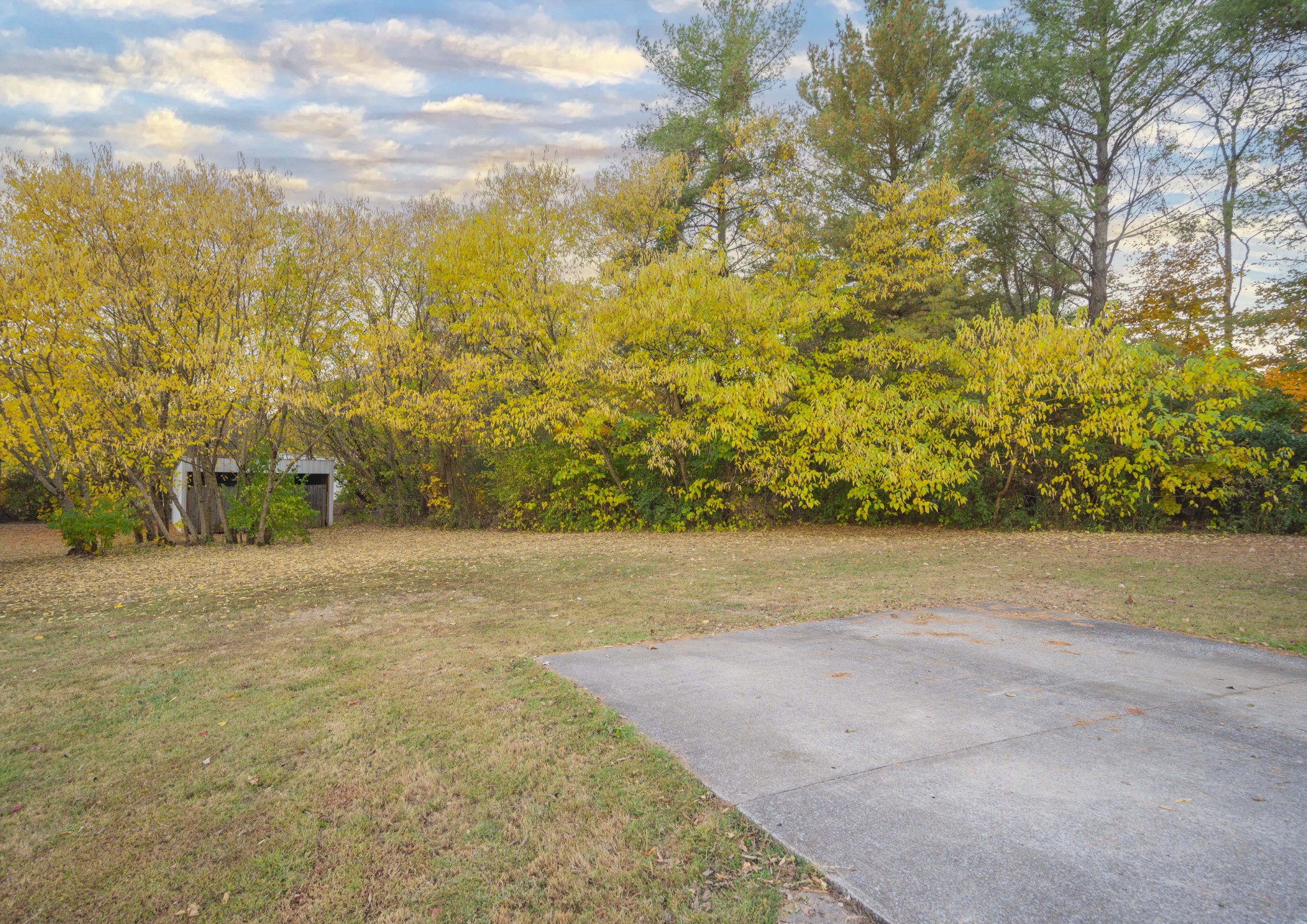 5496 Seminary Rd