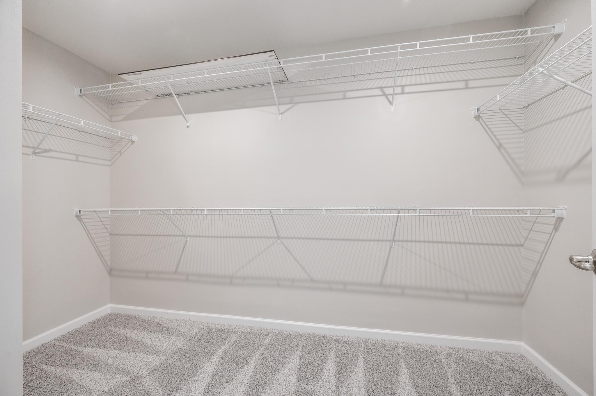 1009 Carnation Drive