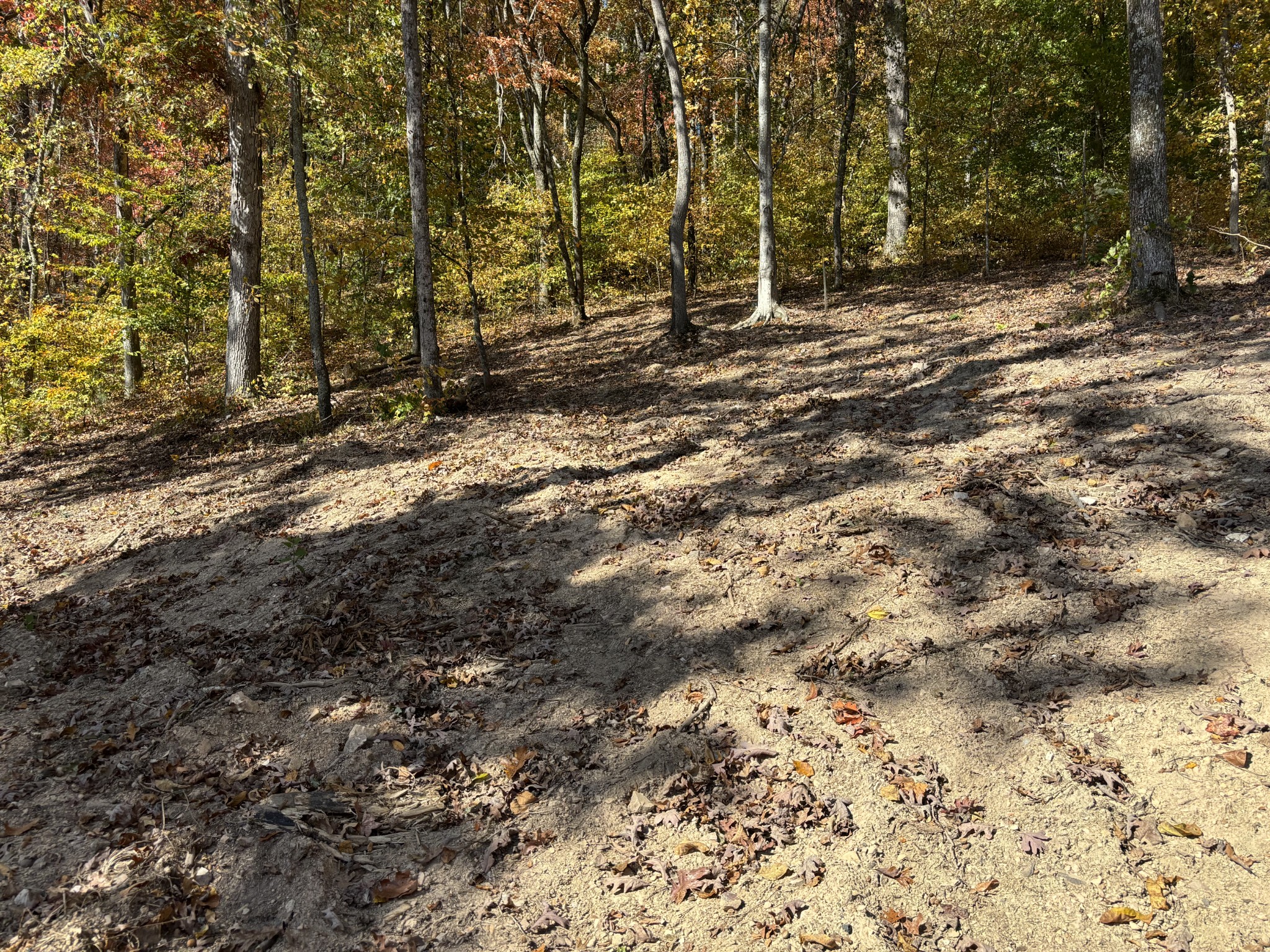 230 Roberts Creek Rd