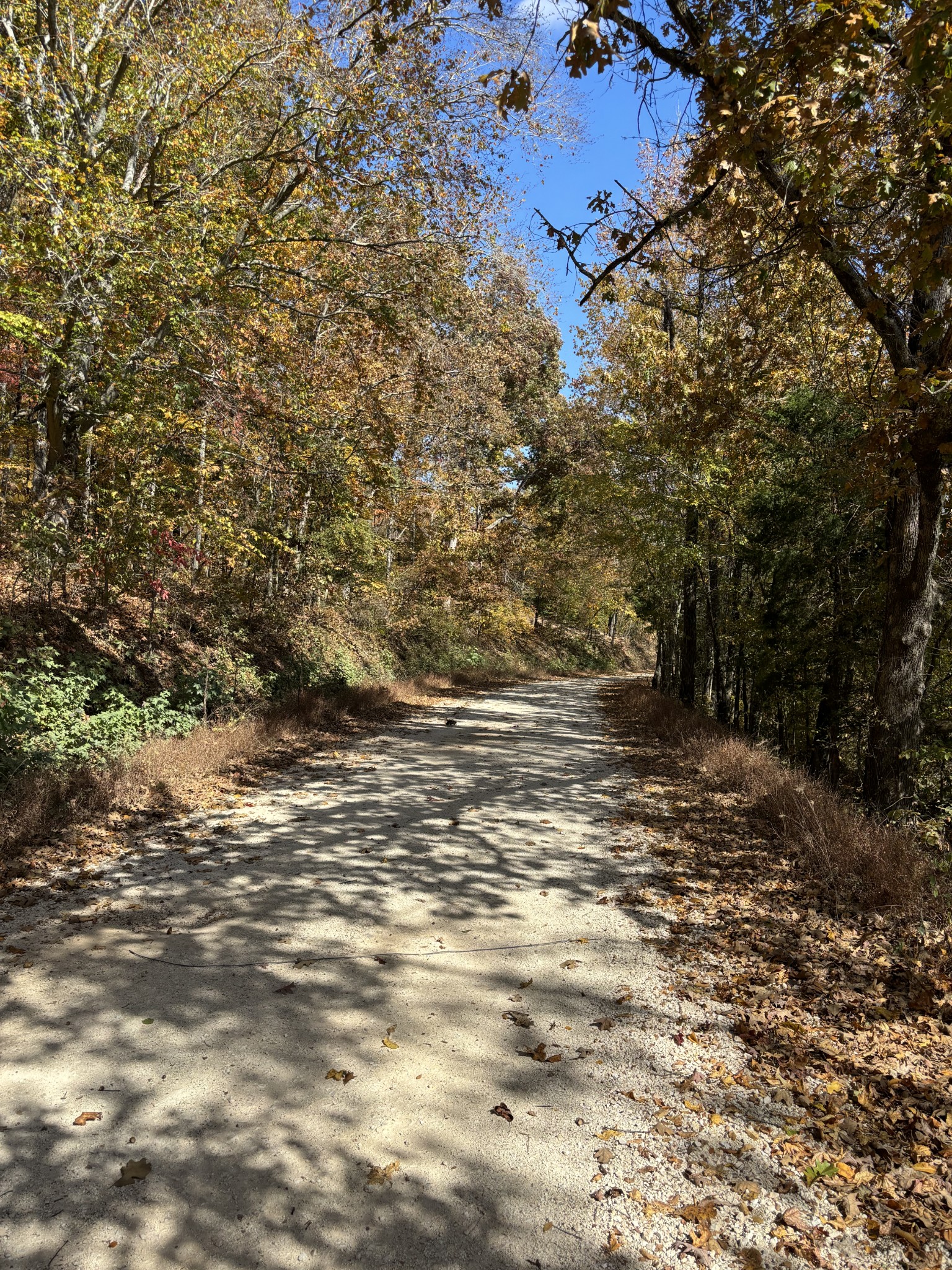 230 Roberts Creek Rd