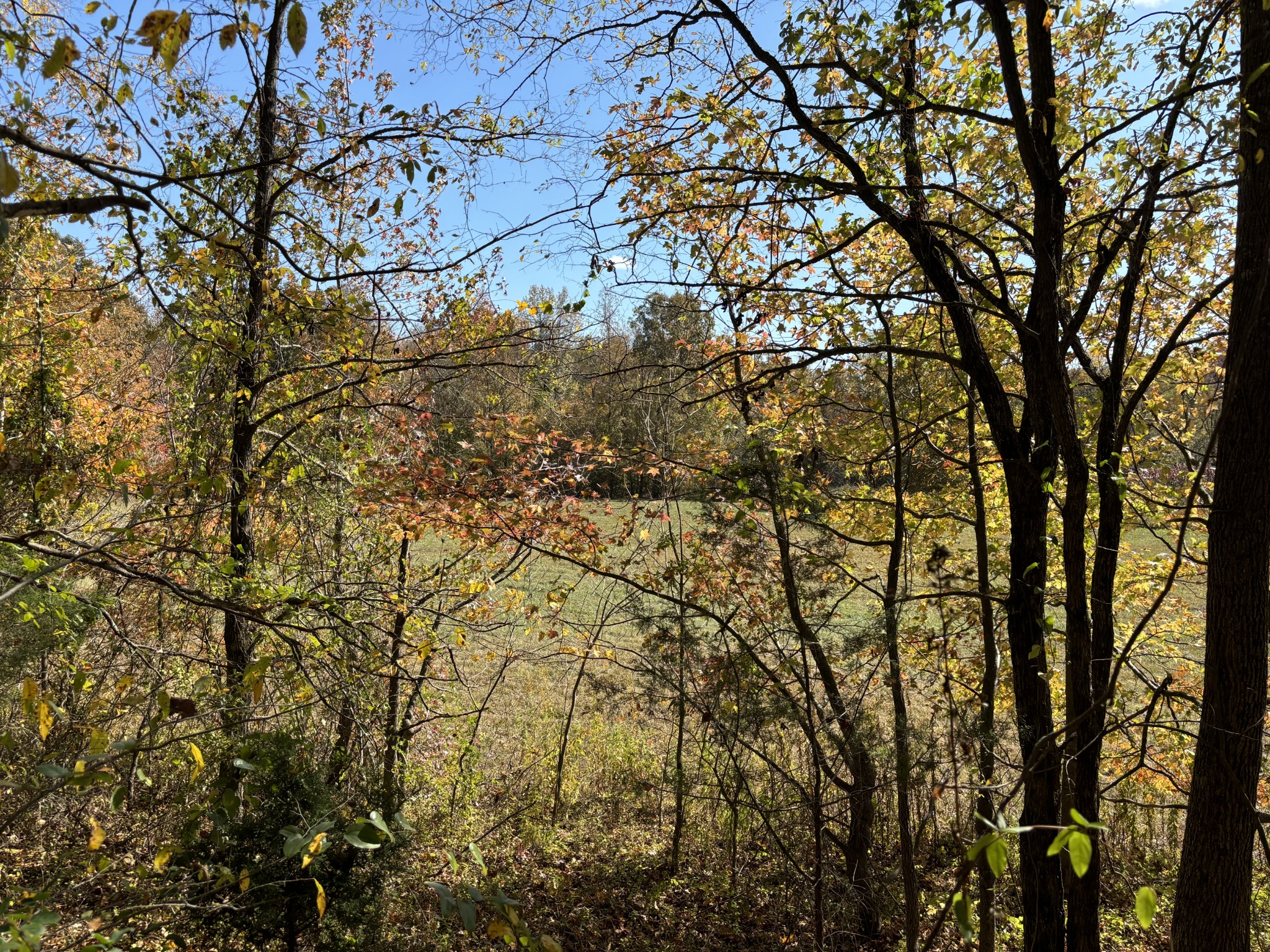 230 Roberts Creek Rd