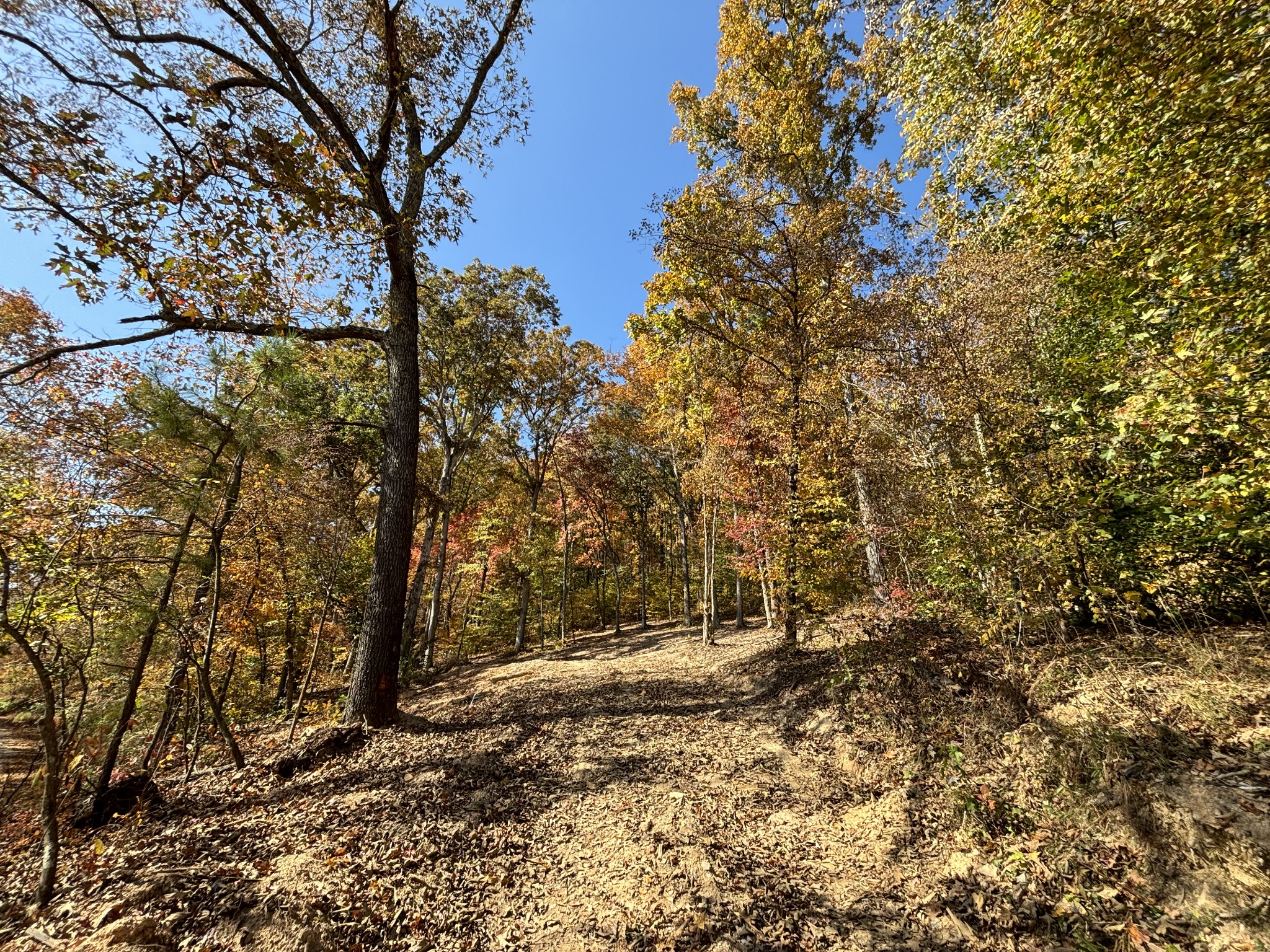 230 Roberts Creek Rd