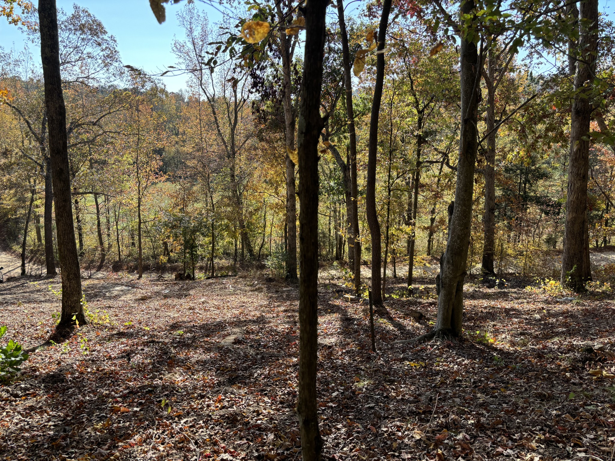 230 Roberts Creek Rd