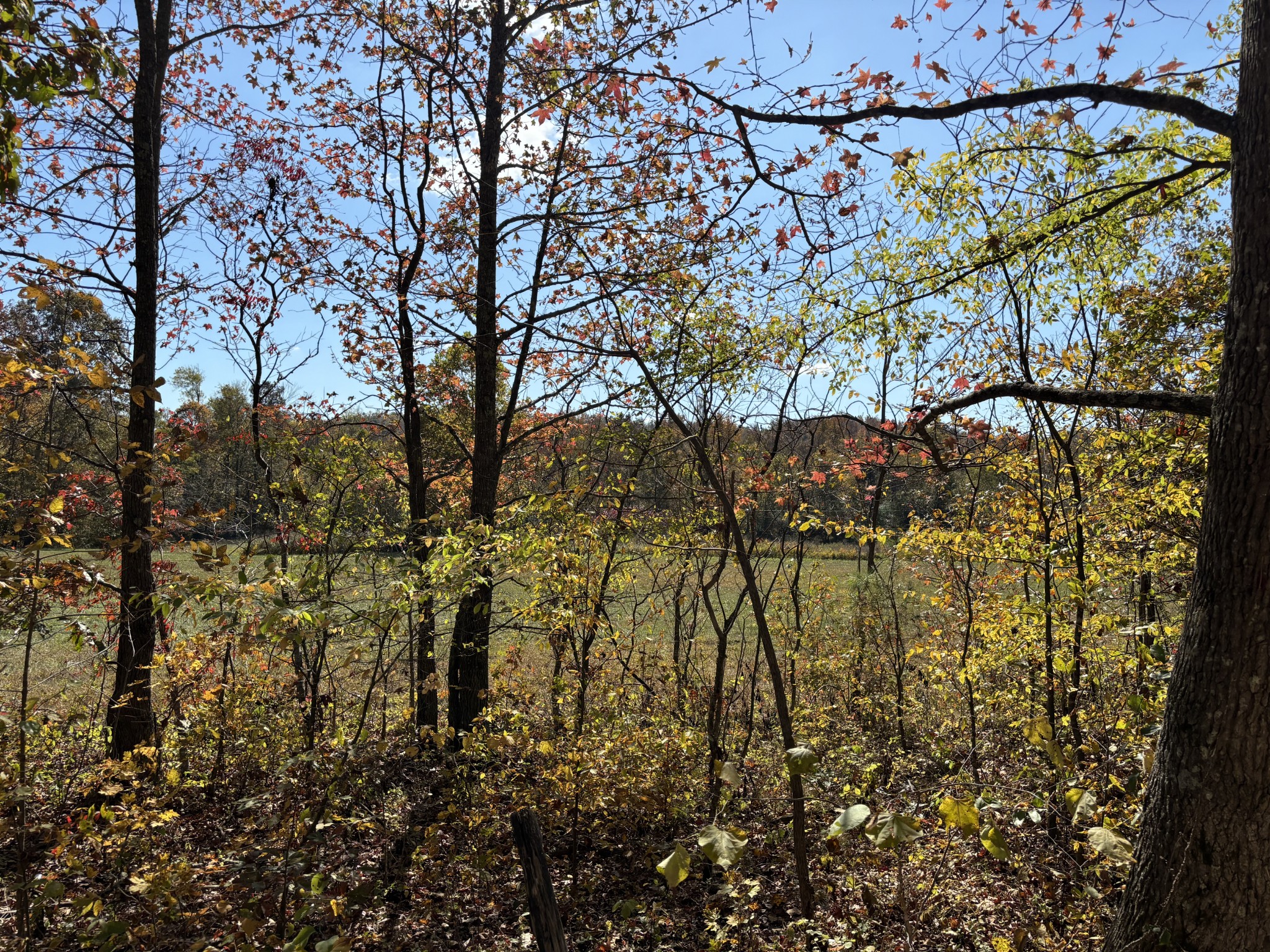 230 Roberts Creek Rd