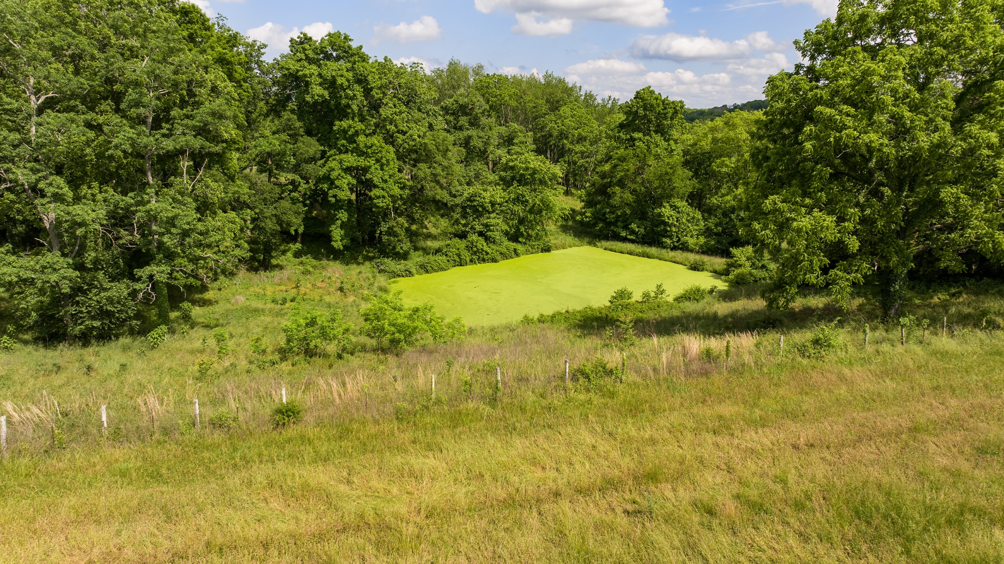 7924 Nolensville Rd