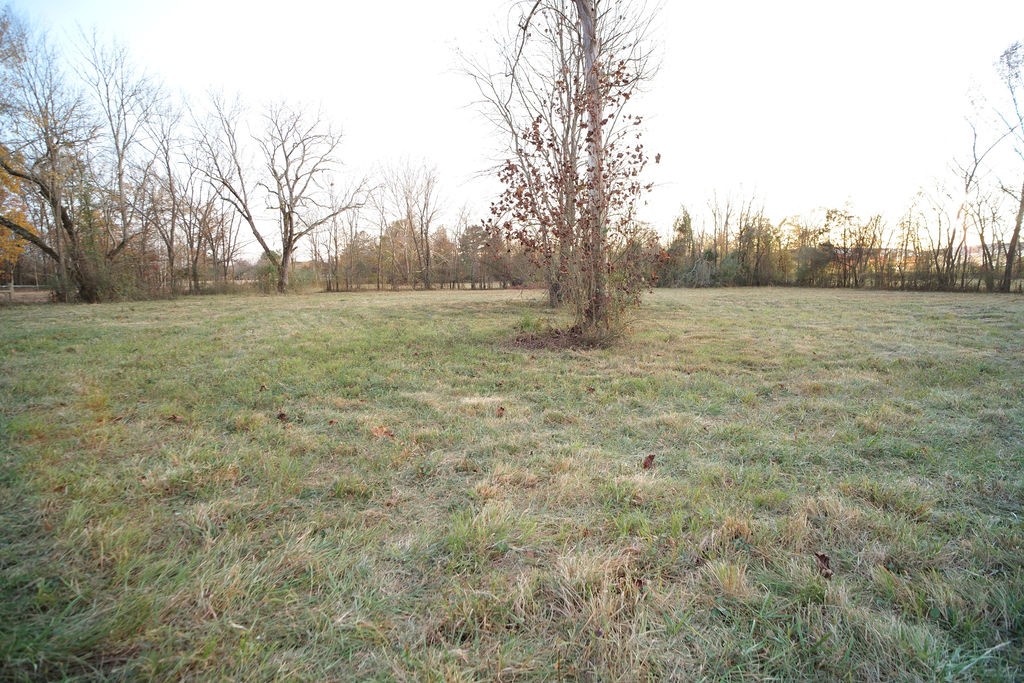 115 Foxland Dr
