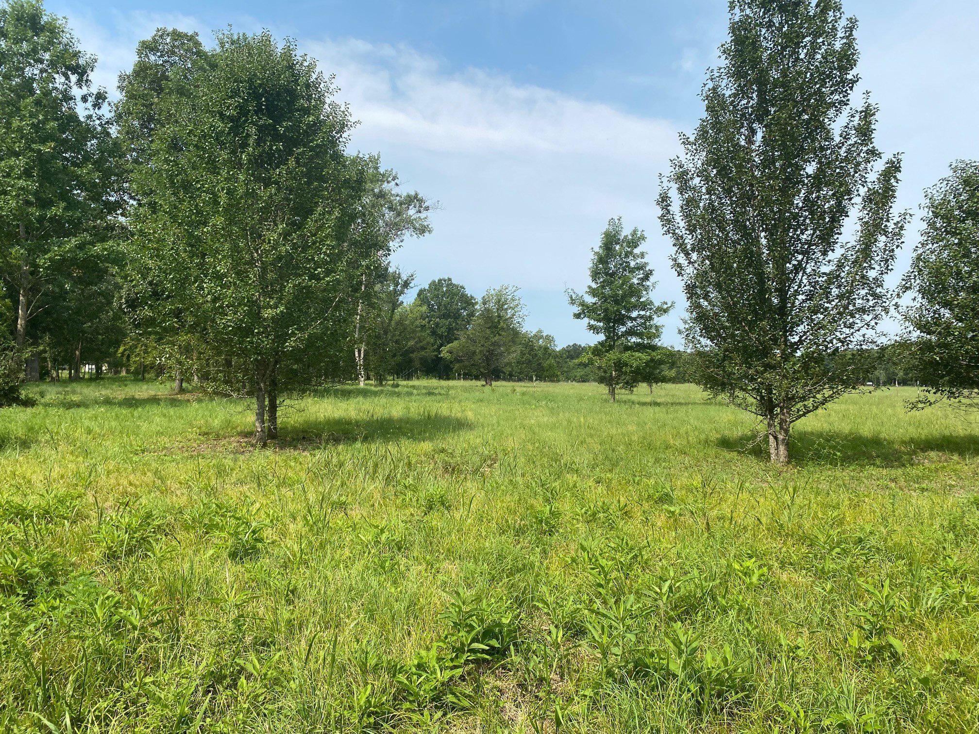 4899 Woodbury Pike