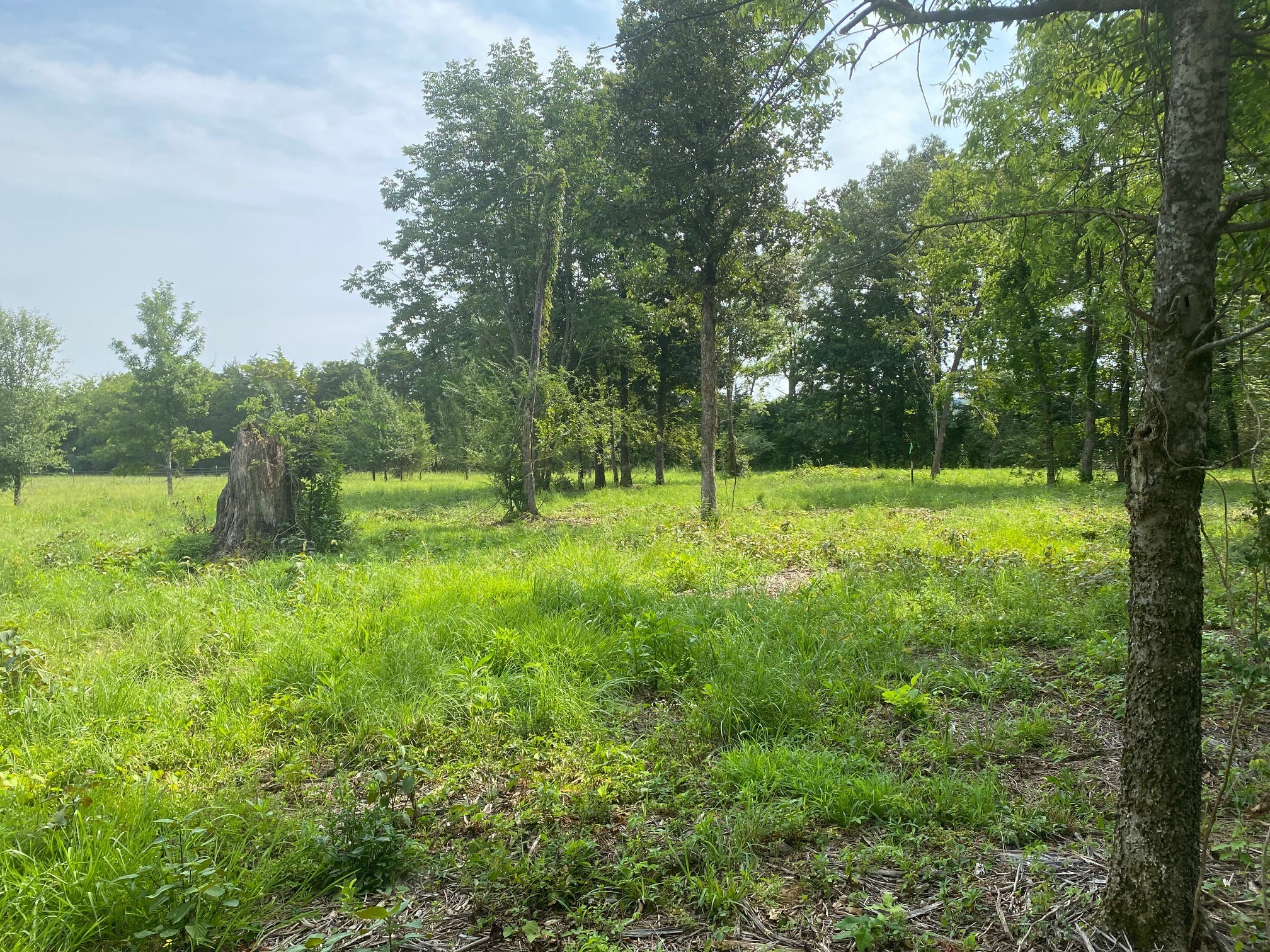 4899 Woodbury Pike