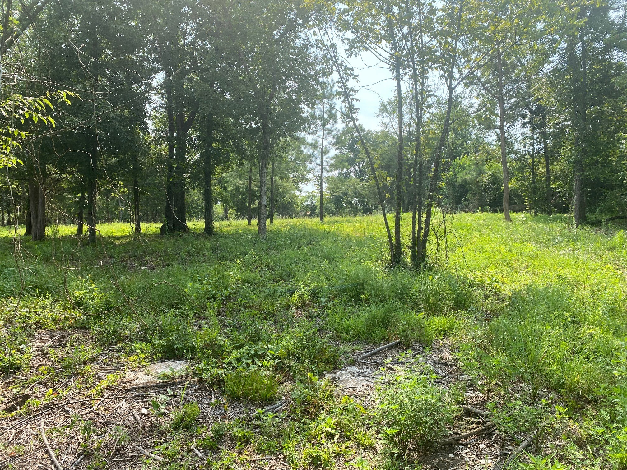 4899 Woodbury Pike