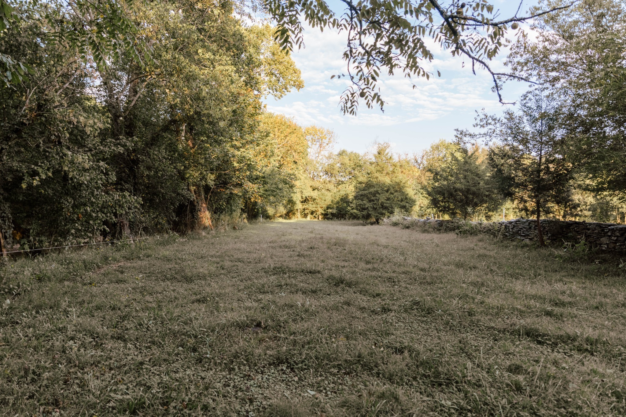 3980 Bradyville Rd