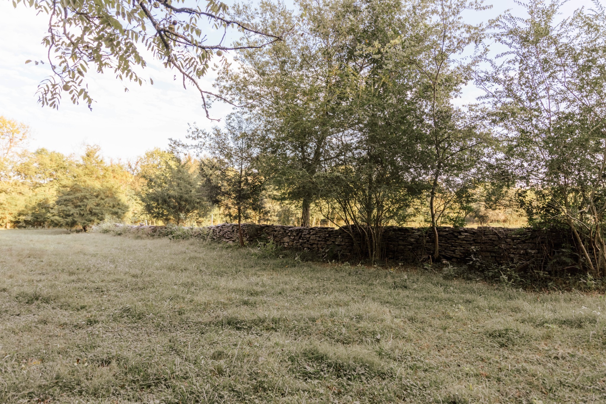 3980 Bradyville Rd